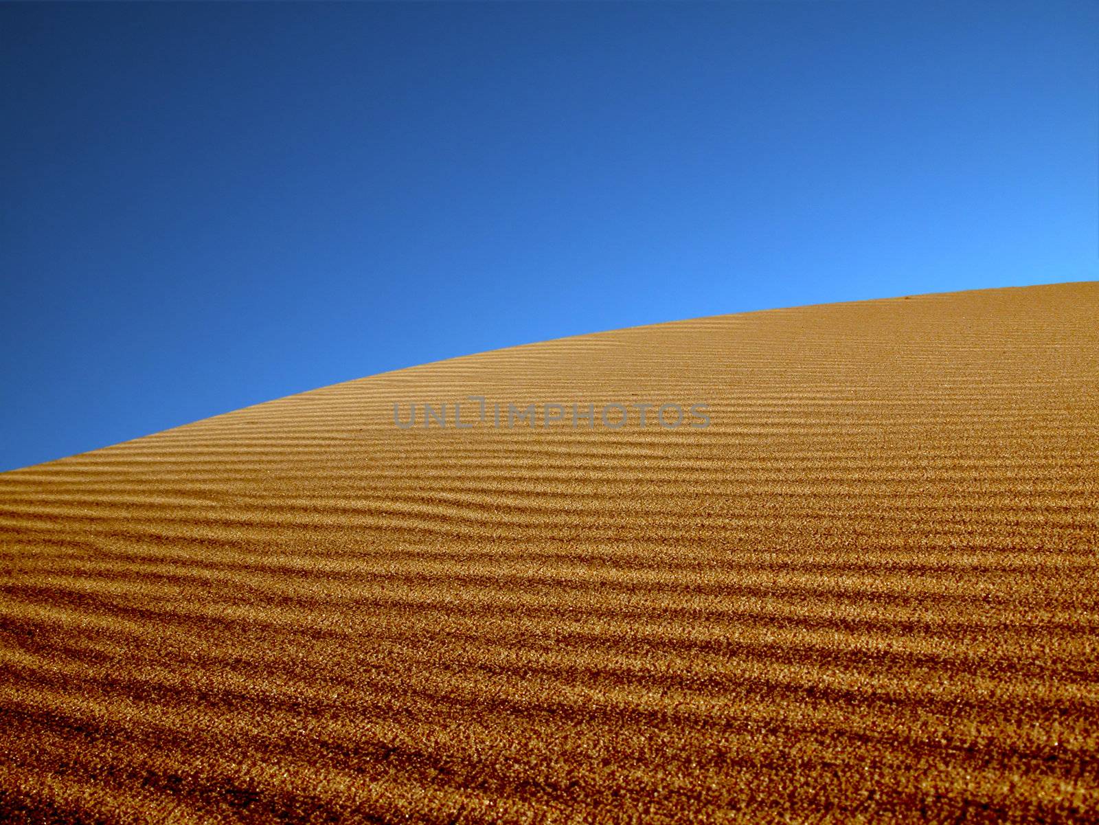 Sand dunes in the desert.