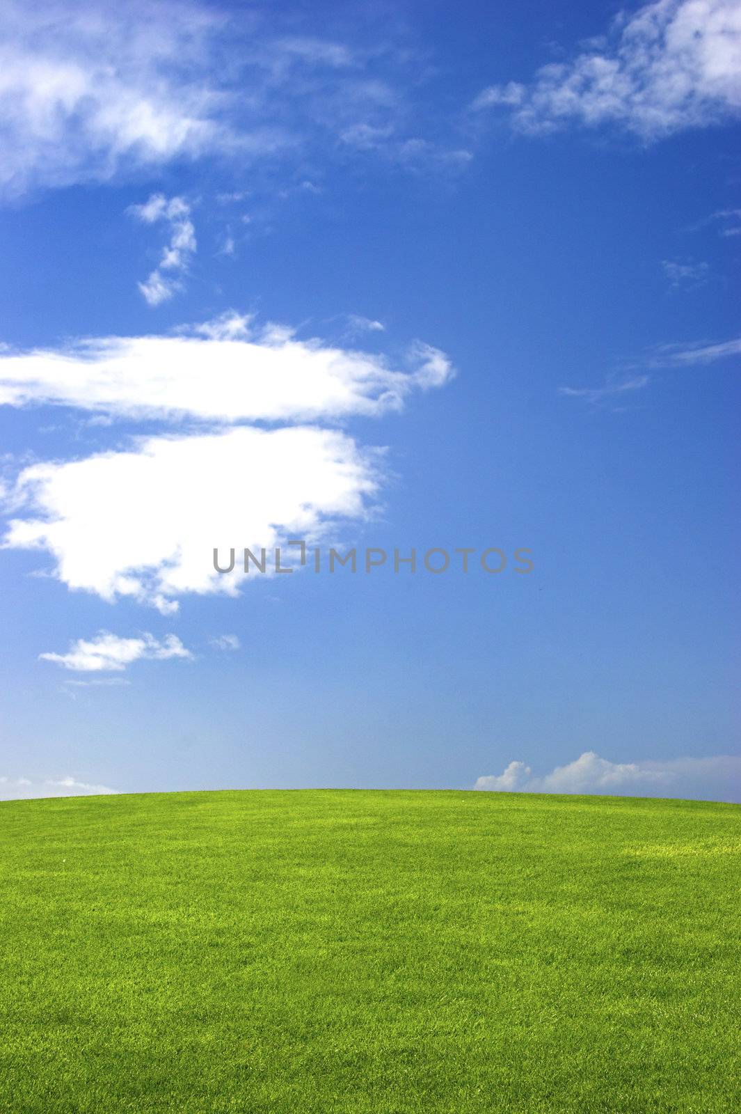 Green field with a great blue sky