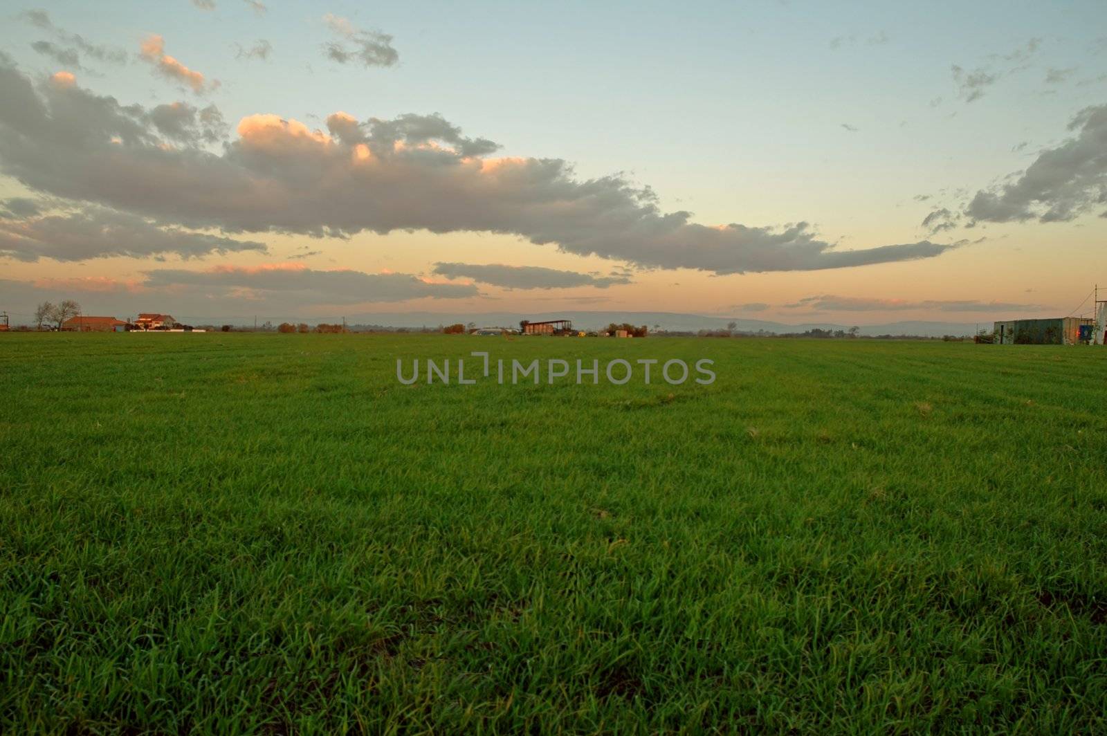 green grass and storm red sky by raalves