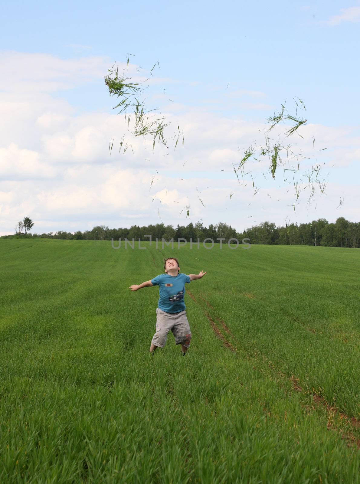 boy, youth, play, spring, grass, joy, gladness, merriment, relaxation, leave, nature, summer, field 