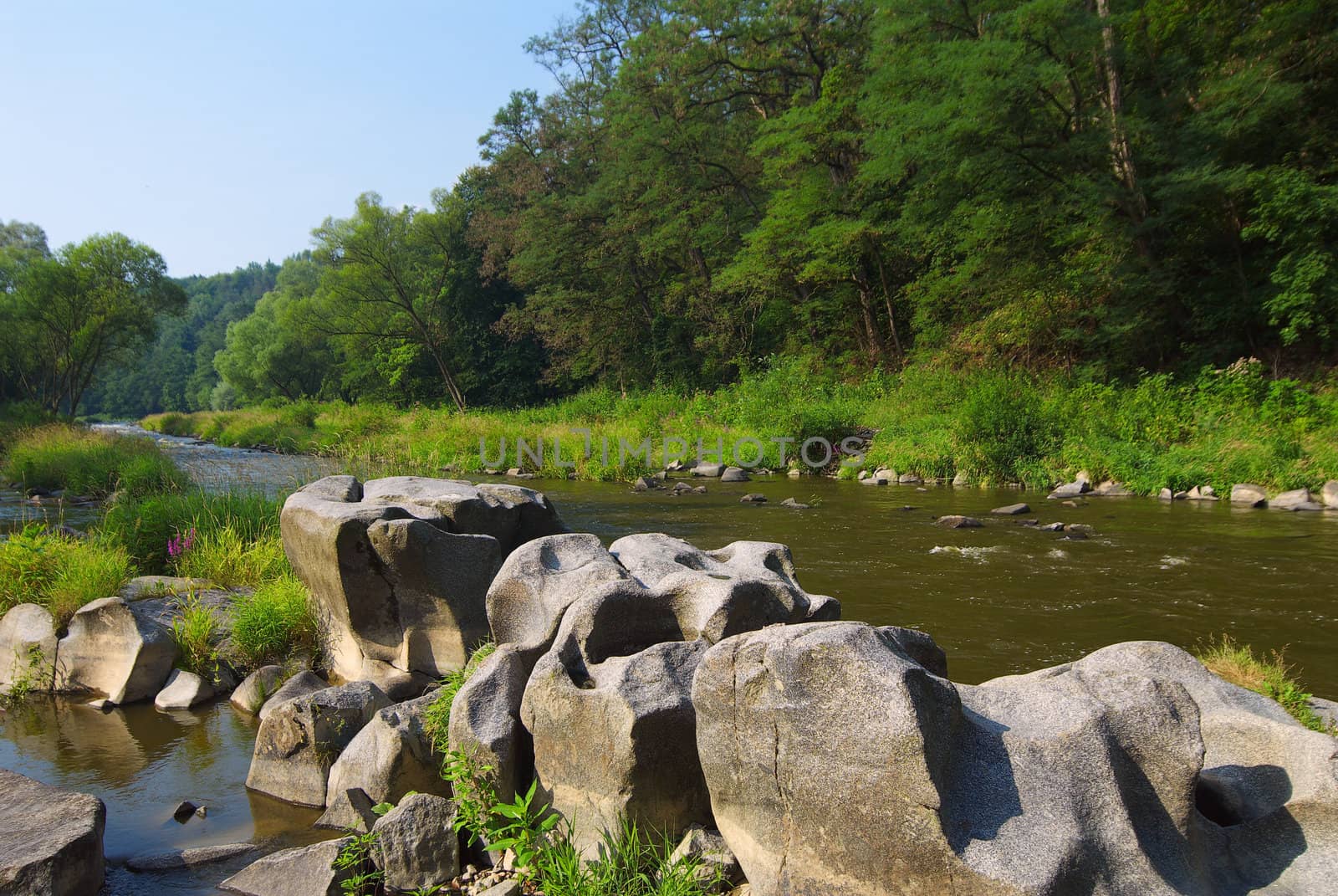 Boulders on coast of the river located at an edge of a wood