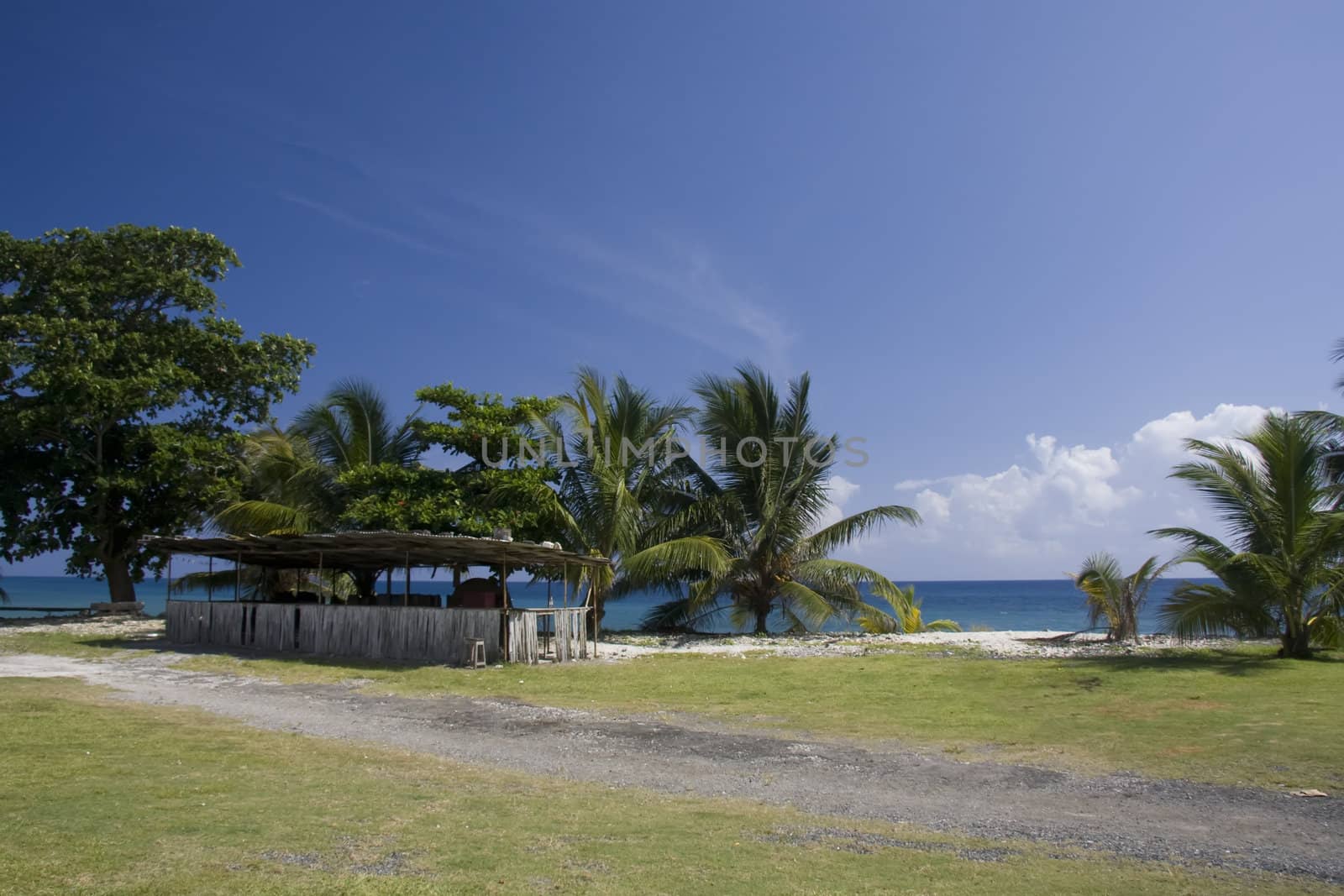 tropical beach