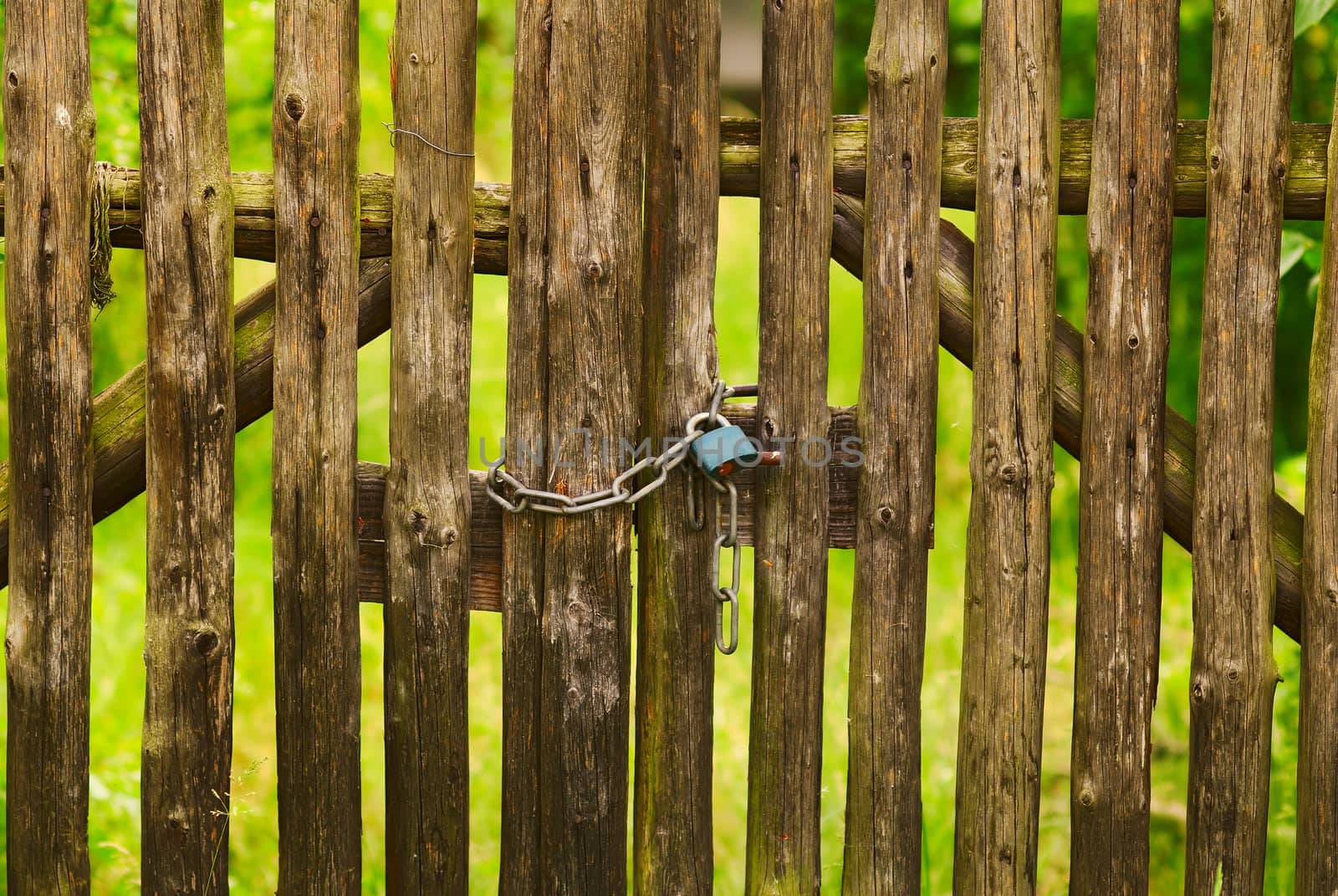 The rural gate locked on a padlock