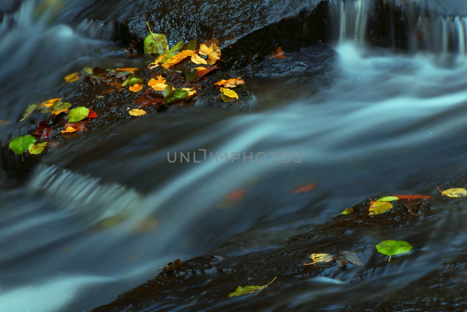 Mountain wood stream in an autumn forest