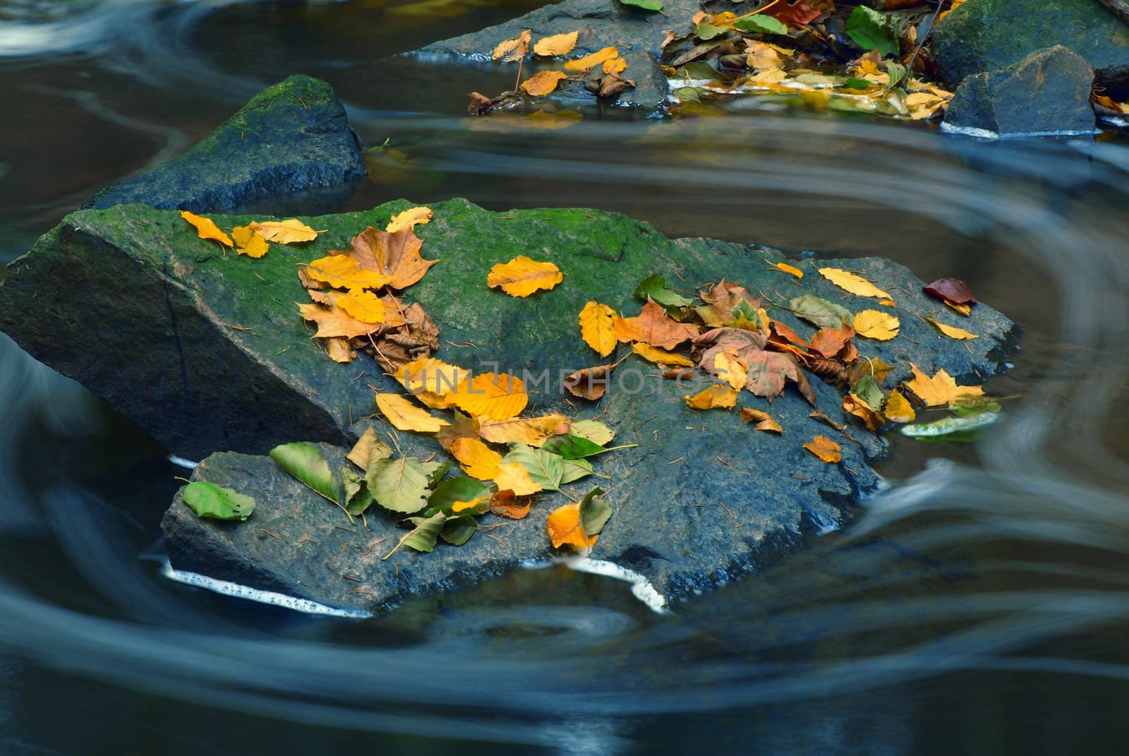 Mountain wood stream in an autumn forest