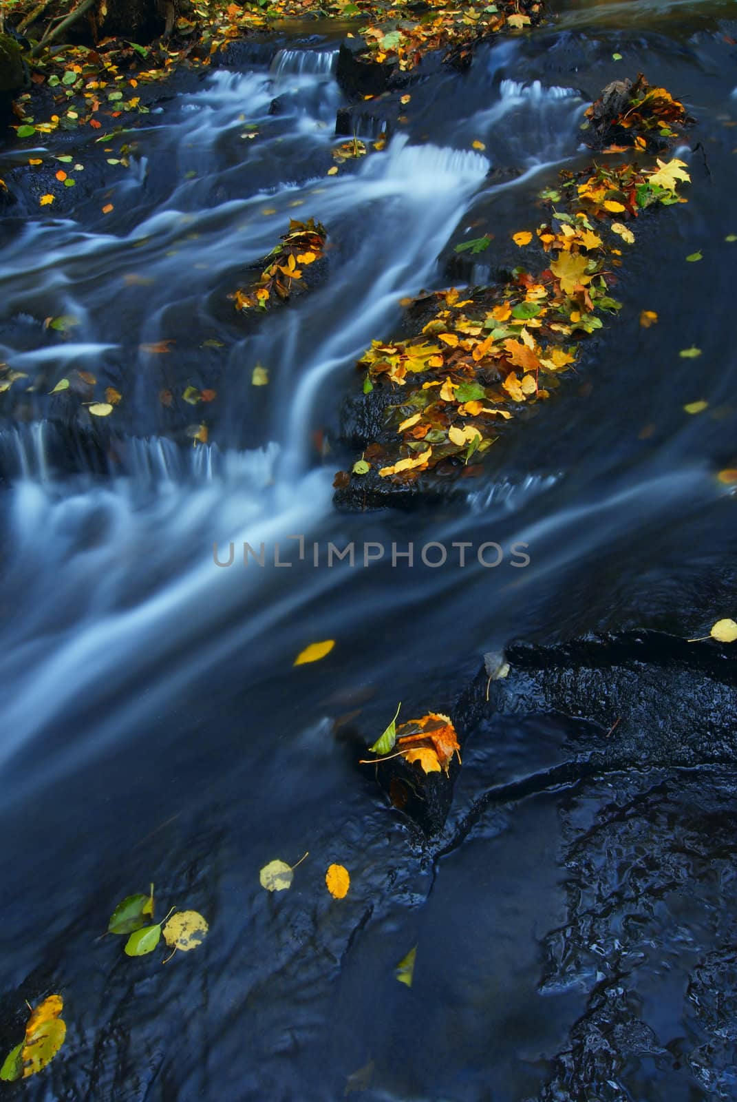 Mountain wood stream in an autumn forest