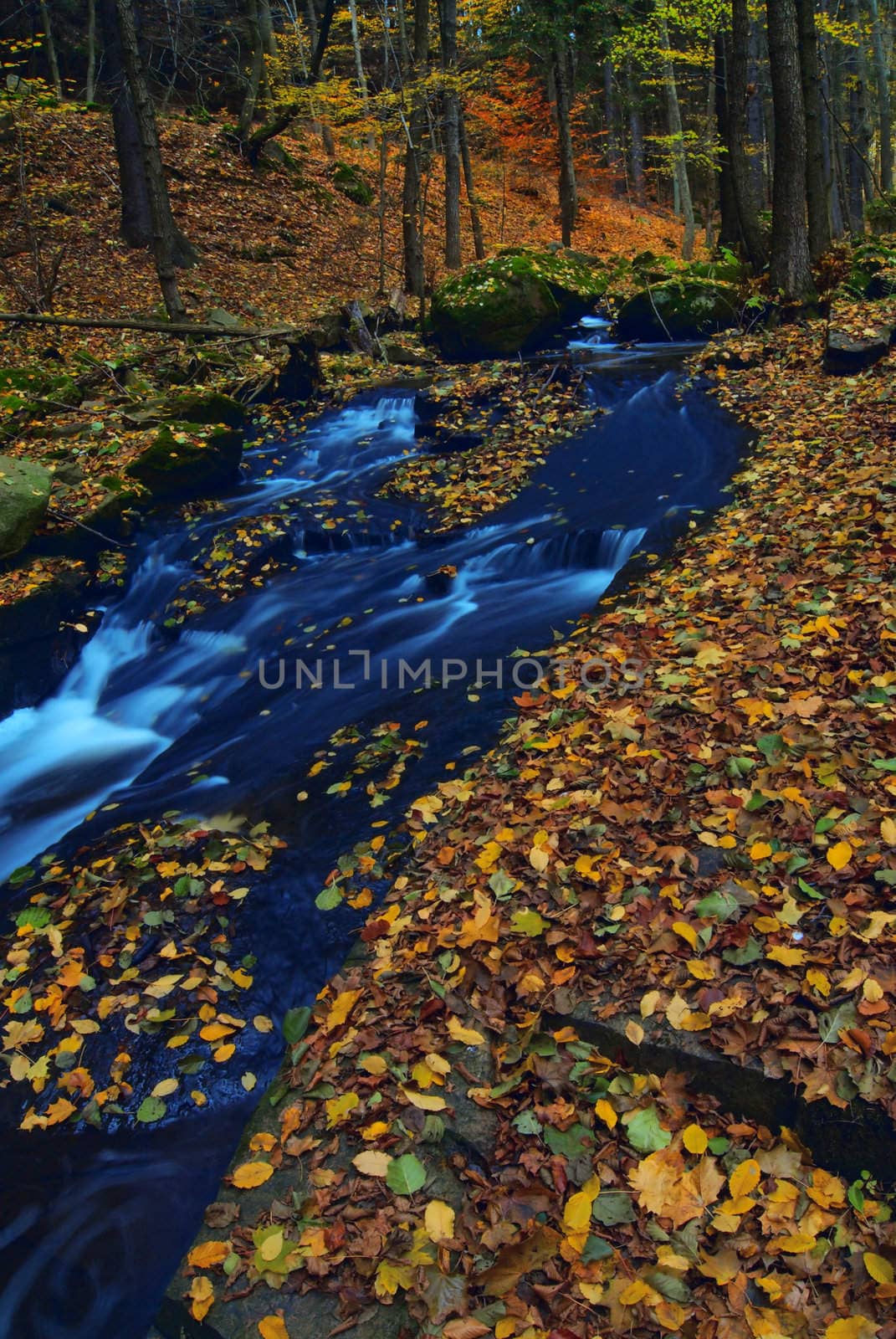 Mountain wood stream in an autumn forest
