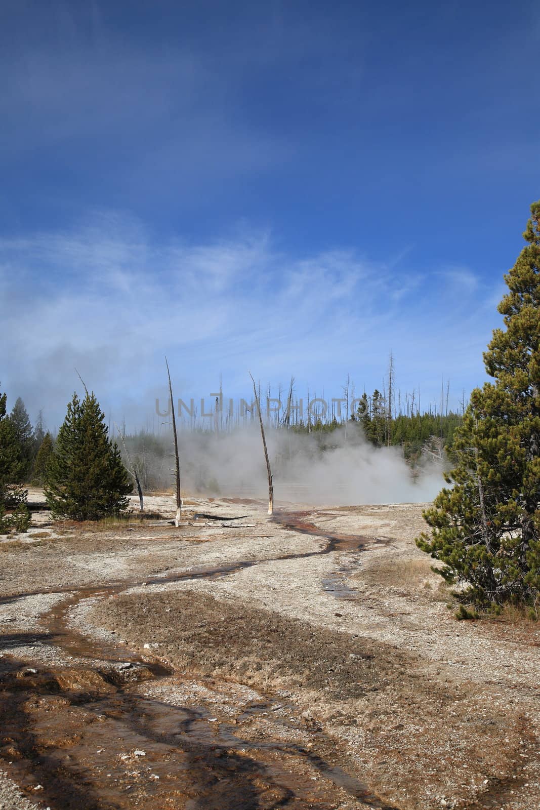 Sloping landscape near Yellowstone Lake, in the West Thumb Geyser Basin.