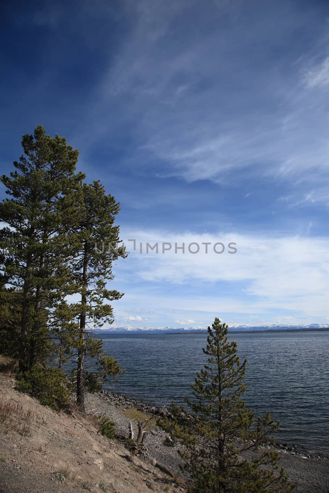 Forests, distant mountains and deep blue water in Wyoming National Park