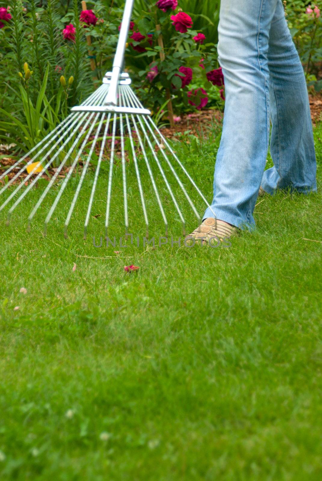 young women cleaning the lawn