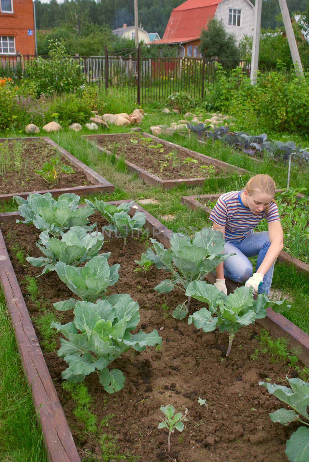 Weеding a vegetable garden by liseykina