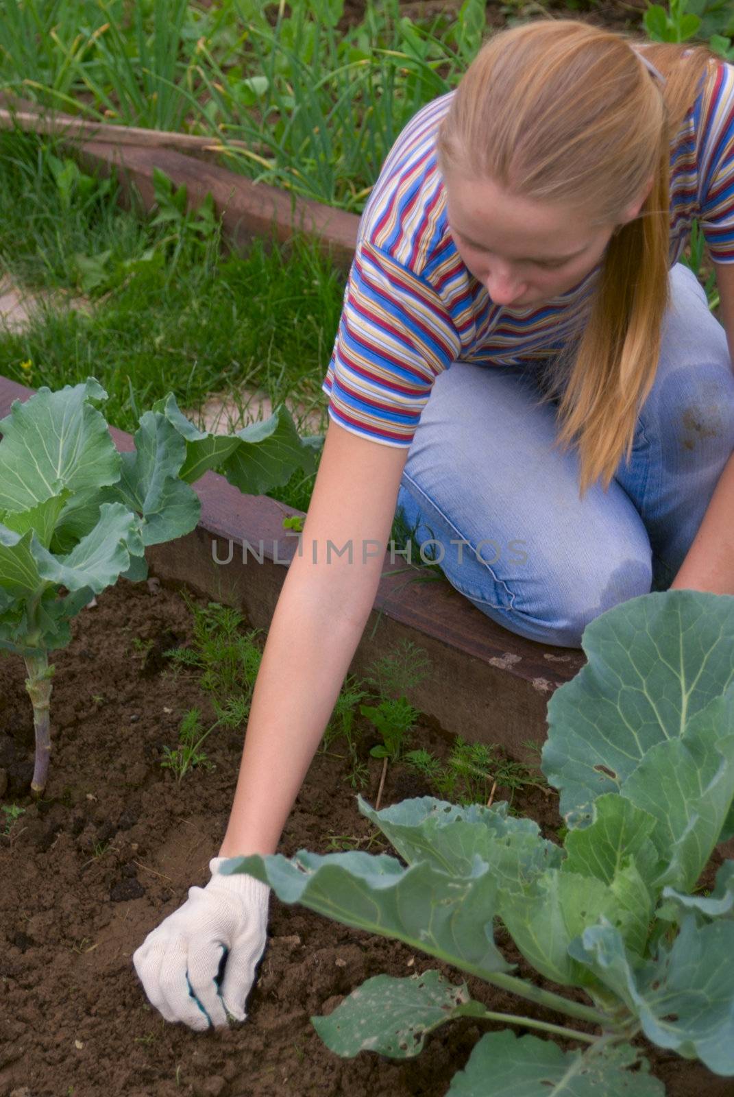 Young pretty women weeding a bed