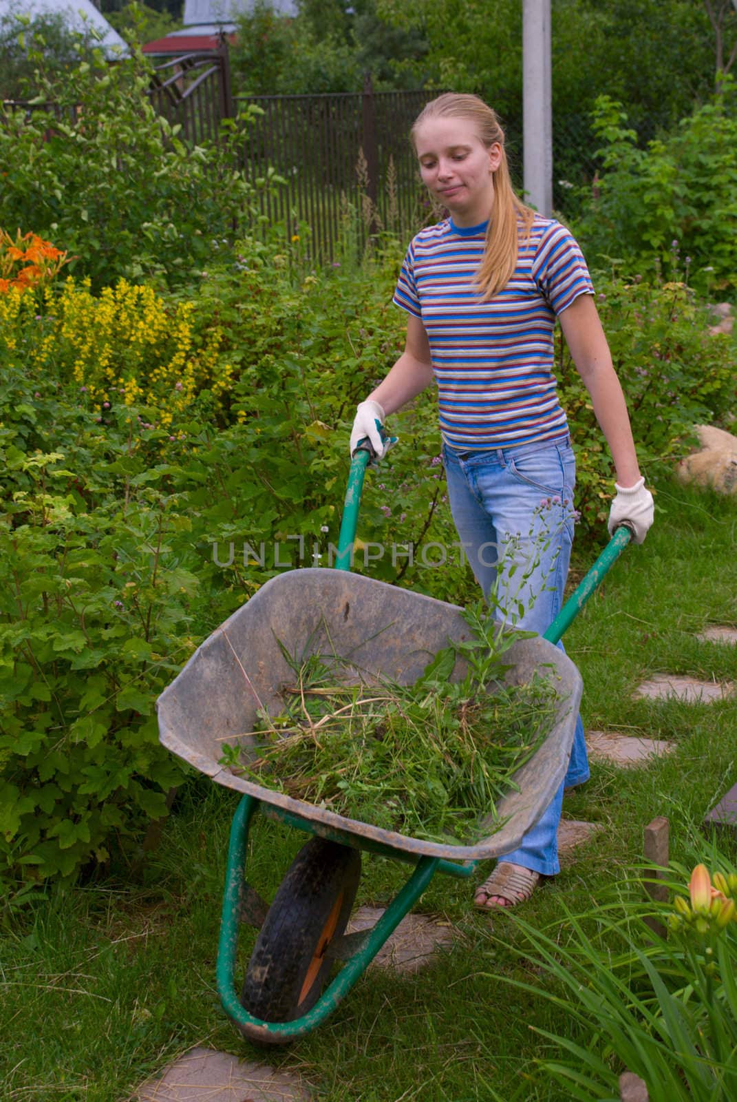 Women wheel a barrow by liseykina