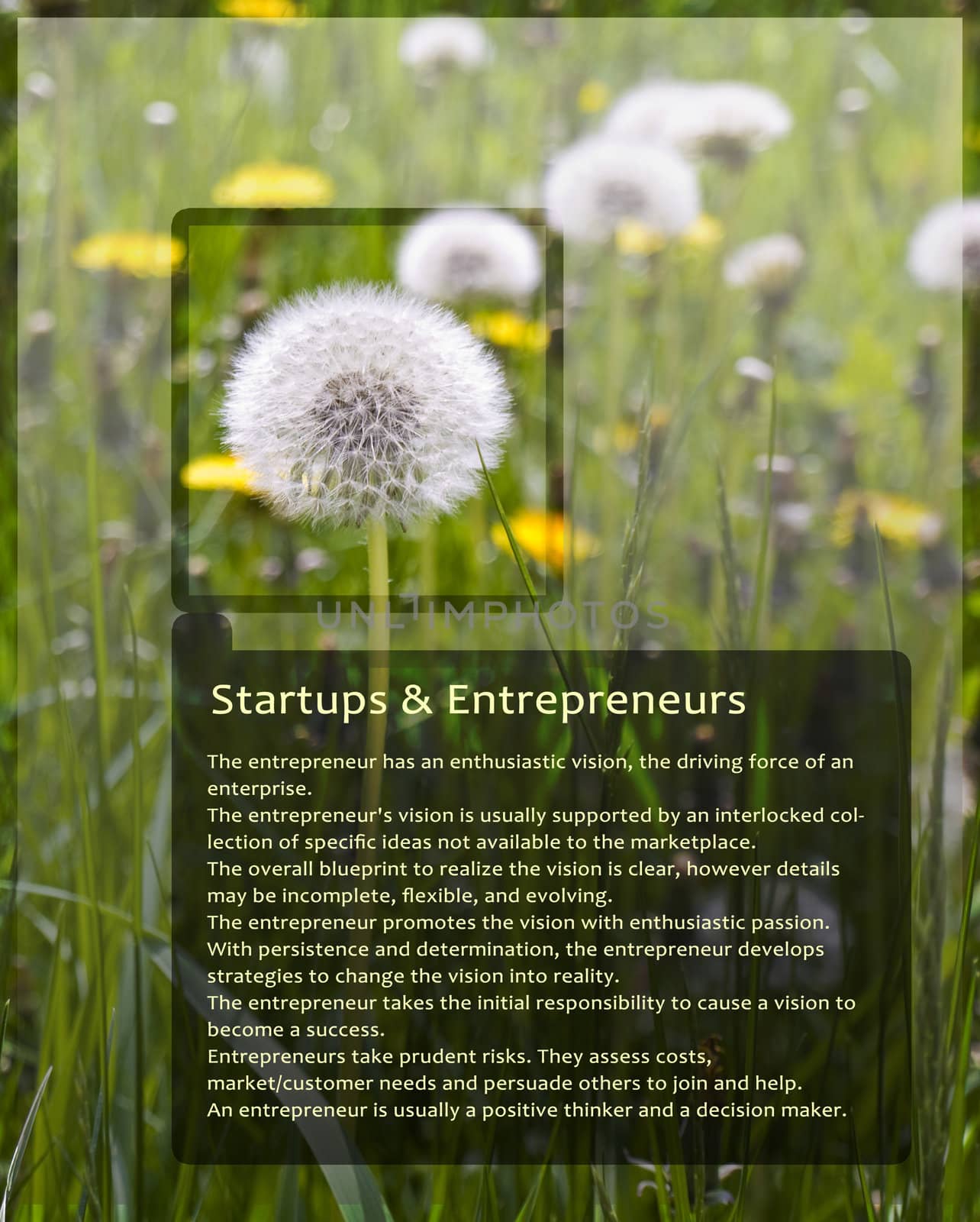Sample Information Sheet for Entrepreneurs With Dandelion by bobbigmac