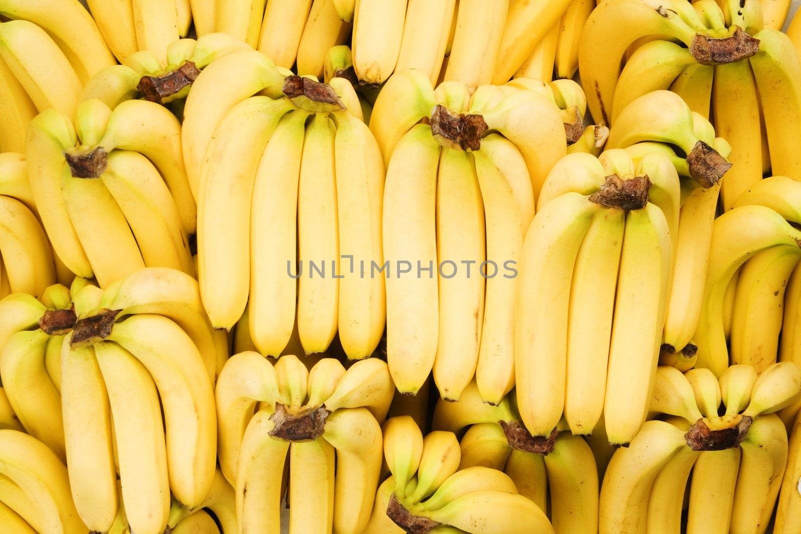 Bananas by Creatista