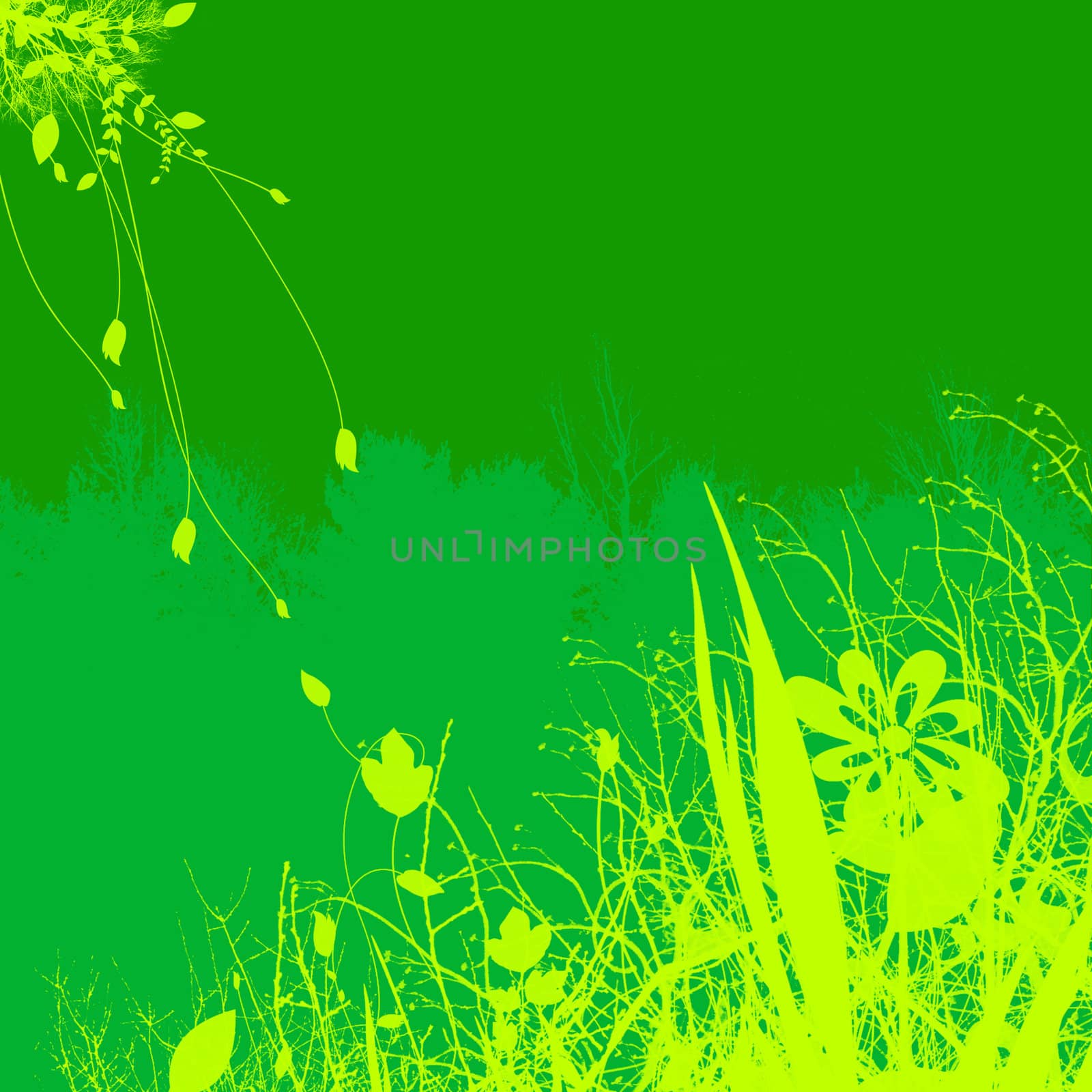 Green Plant and Flower Illustration Design With Contrasting Background