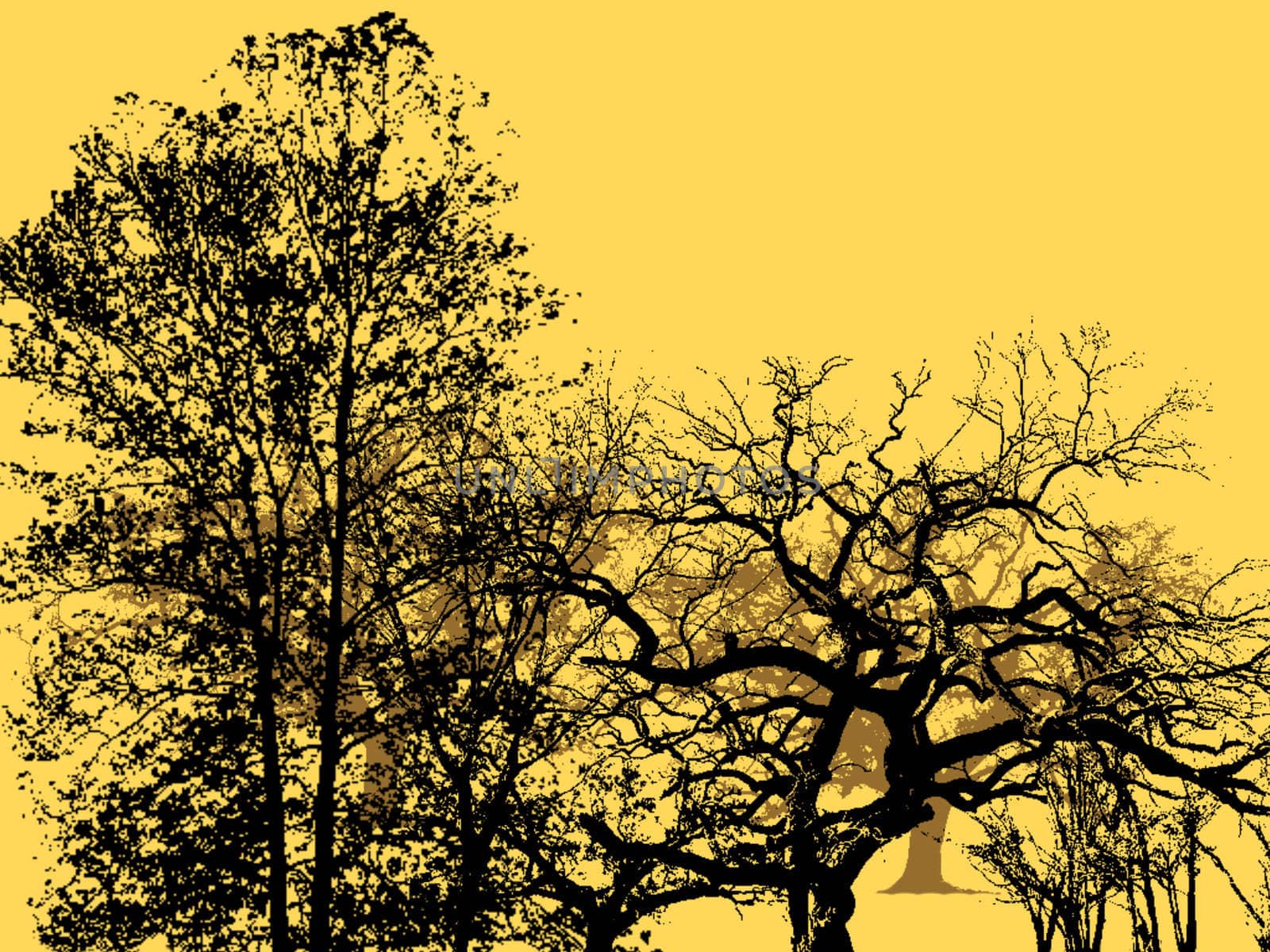 Silhouettes of Trees in Black on Autumn Background Illustration Design