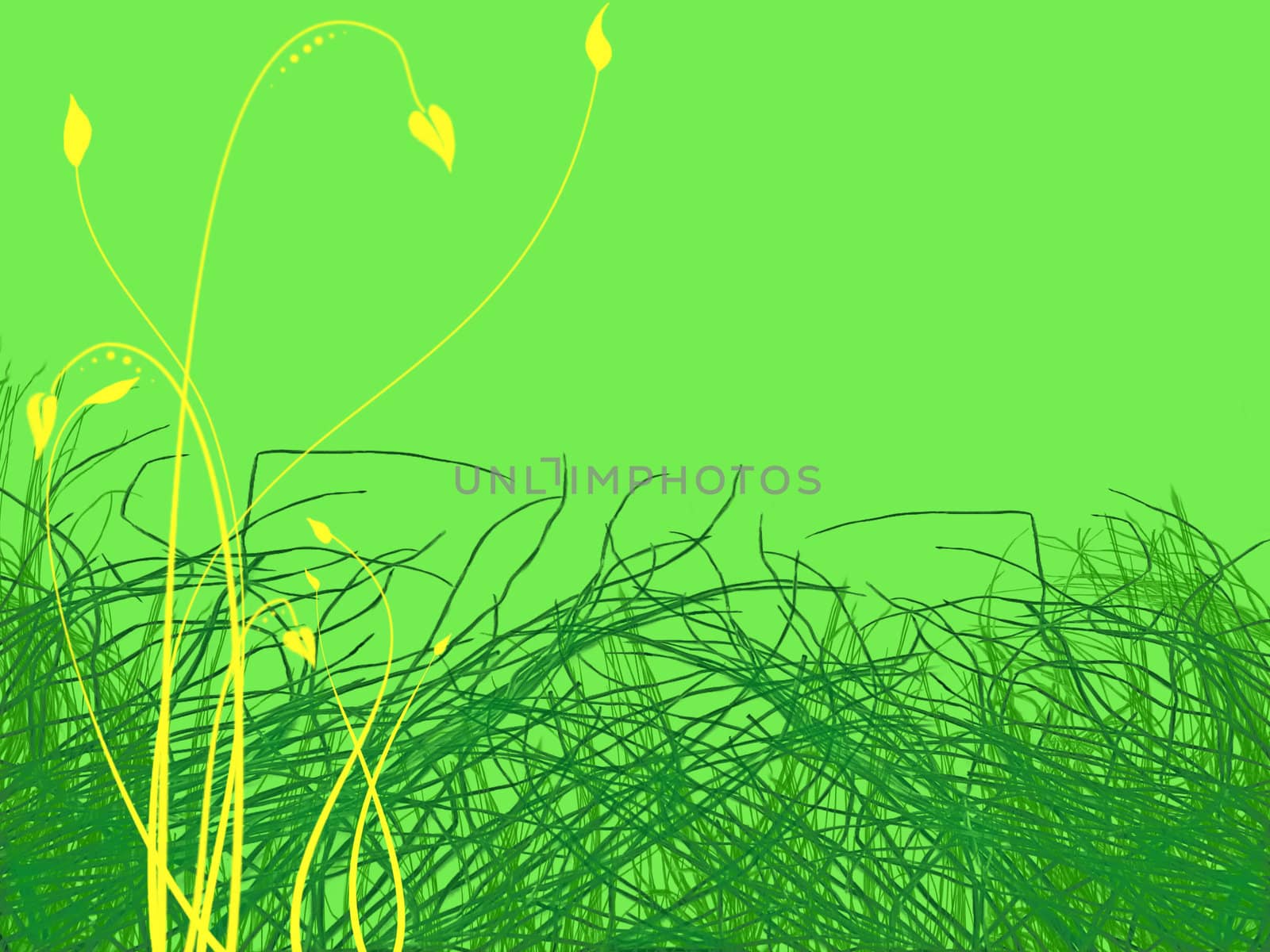 Green Grass and Yellow Flowers Illustration on Cool Green Background