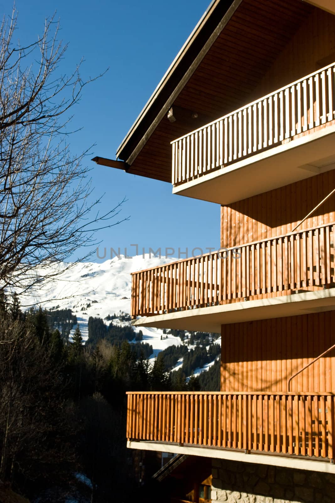 Alpine ski resort chalet by naumoid