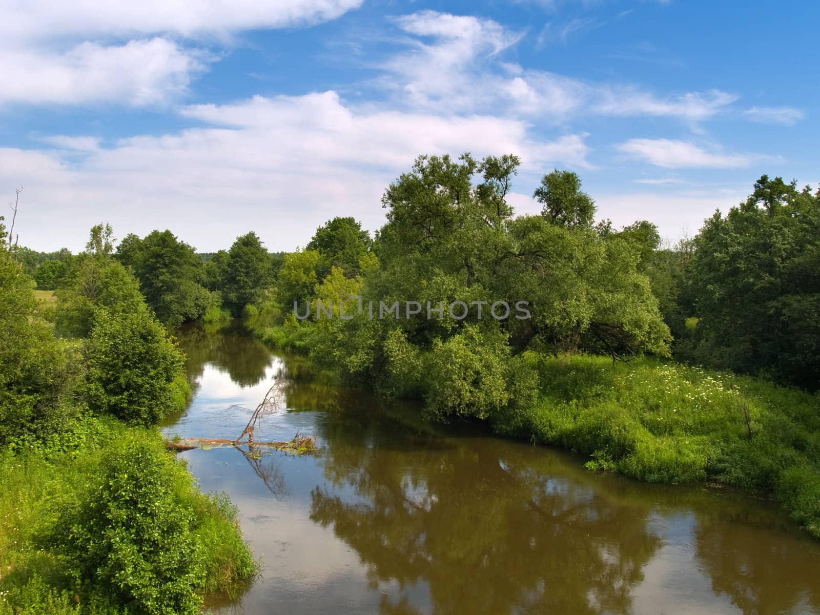 Summer landscape with river and blue sky