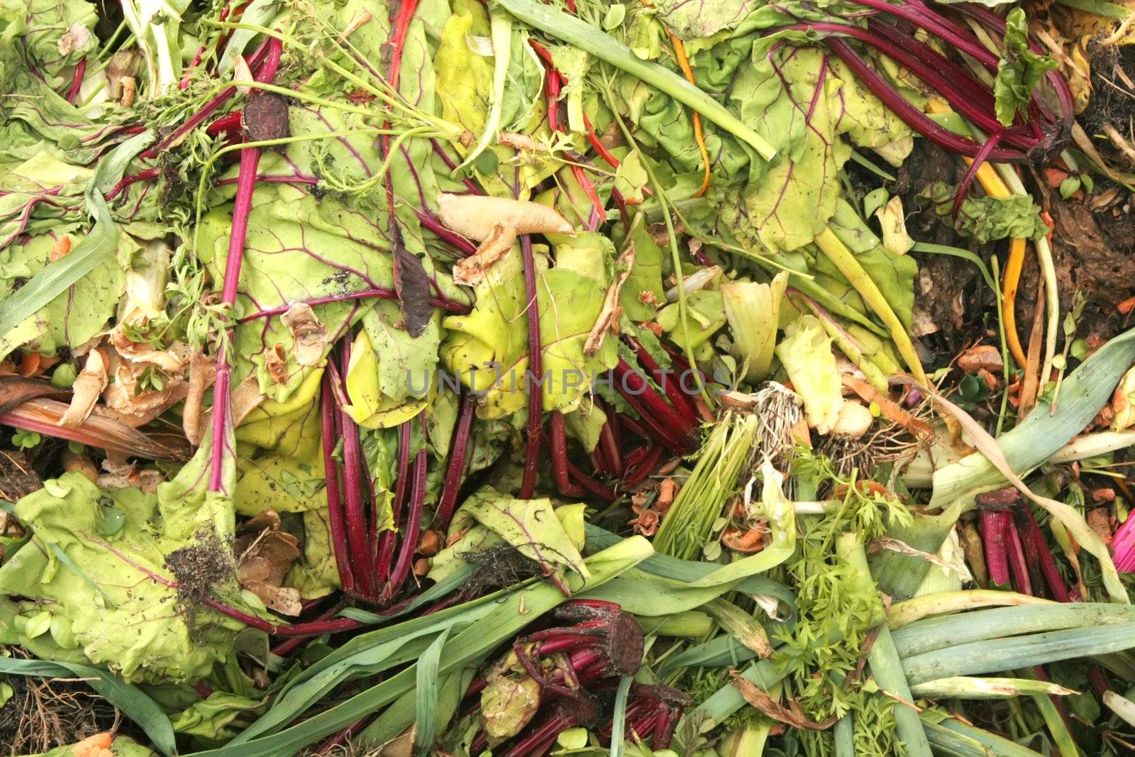 Compost Heap Made of Unused Vegetables in Recycle