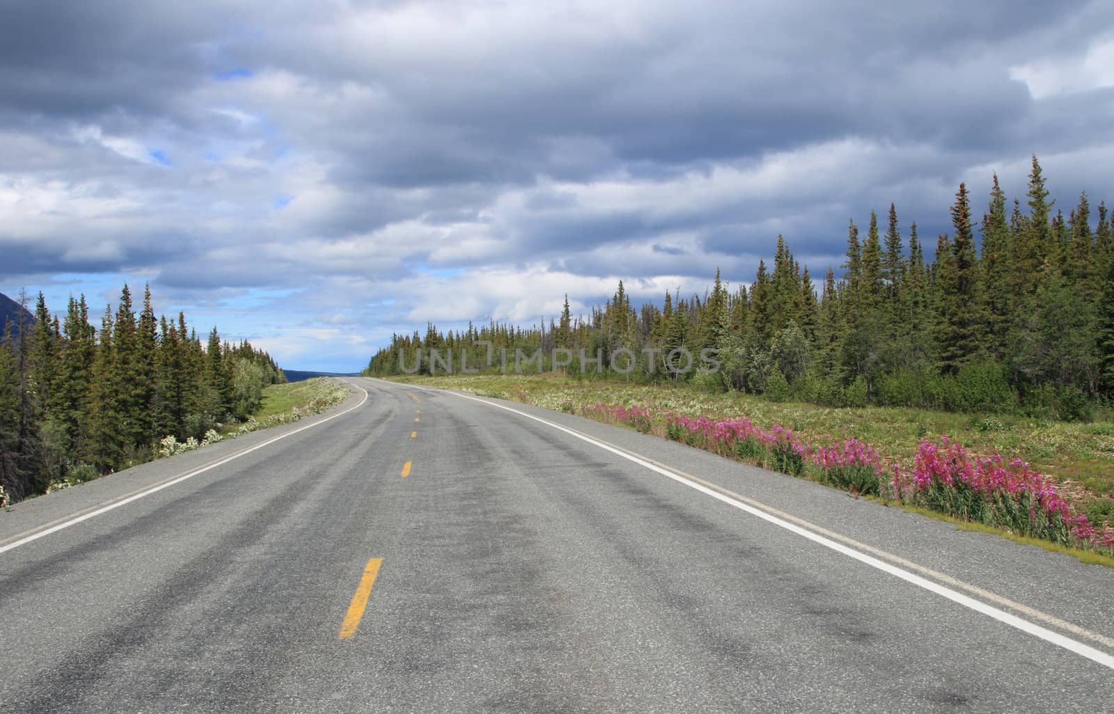 scenic Richardson highway in Alaska with trees and flowers at roadside and ominous cloudy sky