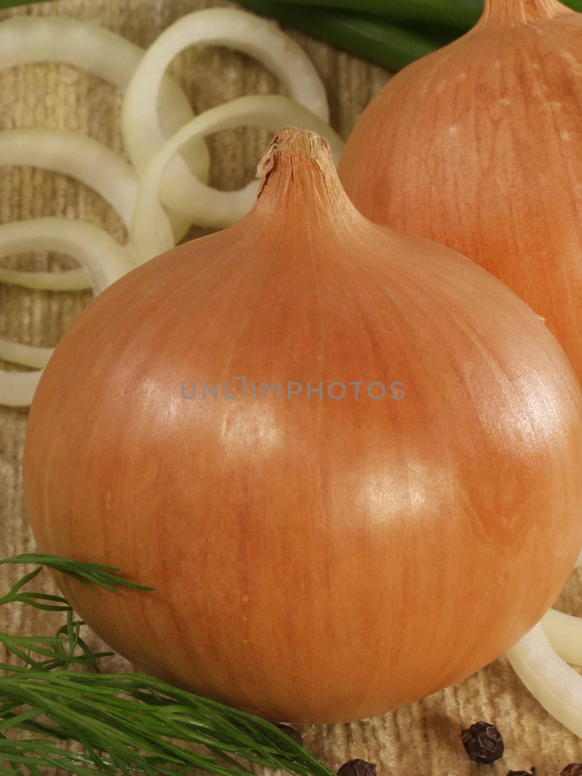 Bulb on a sacking with a green onions both onions rings and fennel       