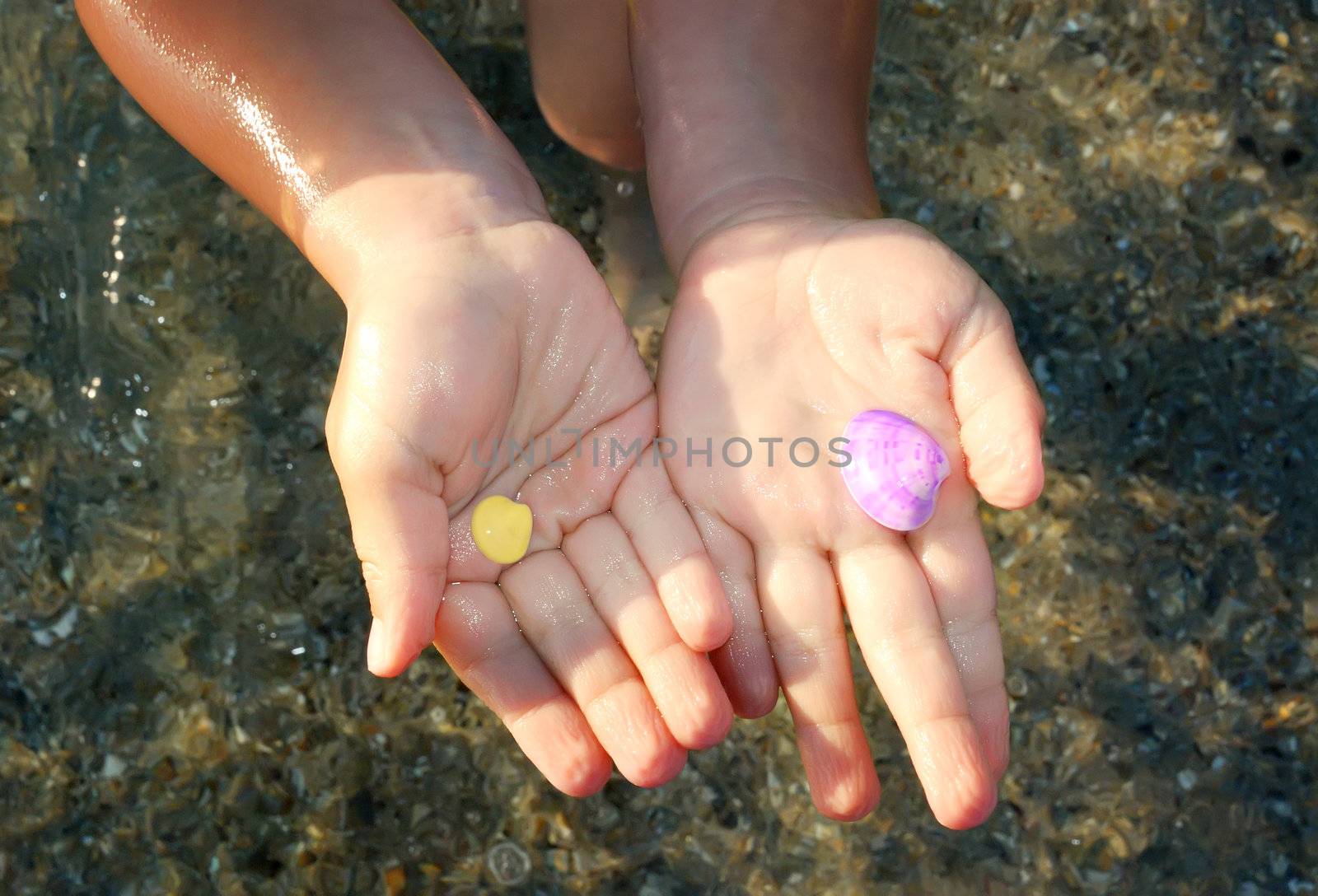 two small shells on a boy's palms