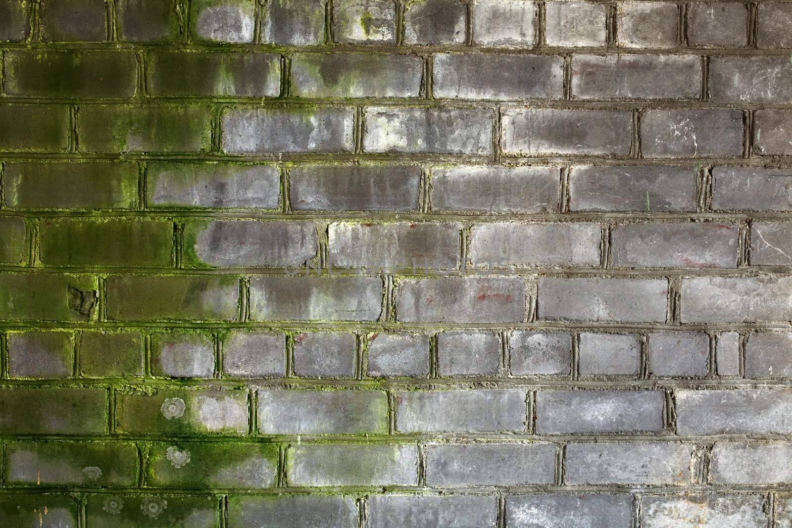 Surface of an old, dirty, decayed, brick wall