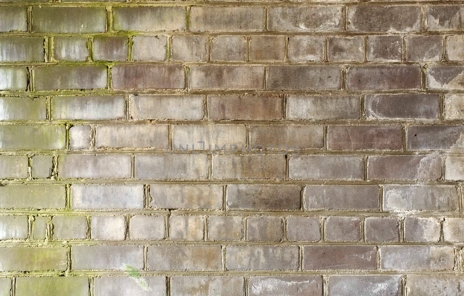 Brick old wall by pzaxe