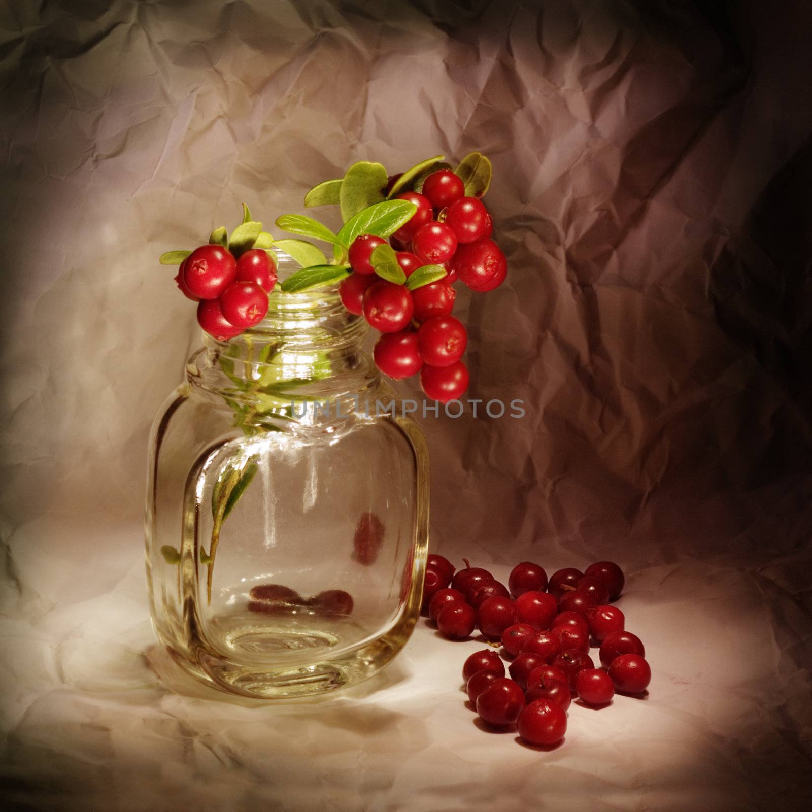 Autumn still-life with a cowberry