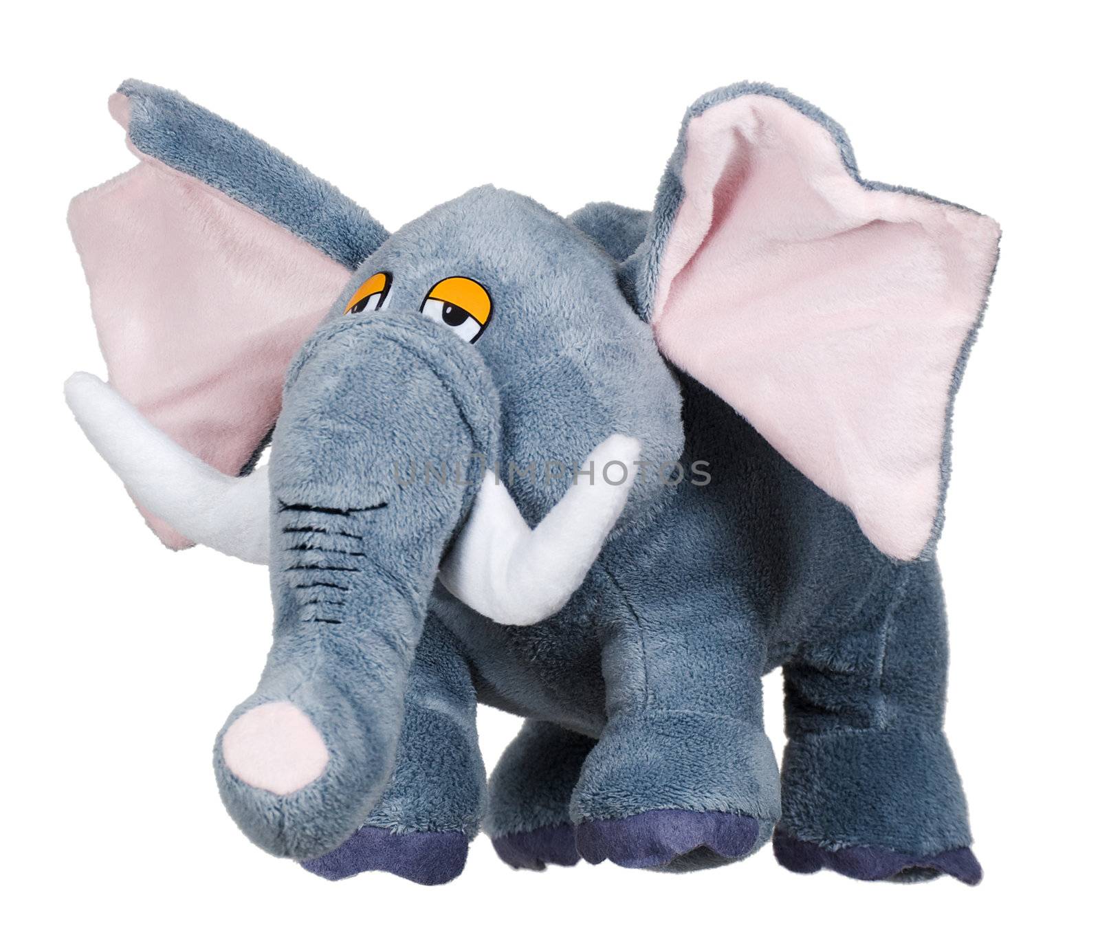 The toy soft elephant on a white background