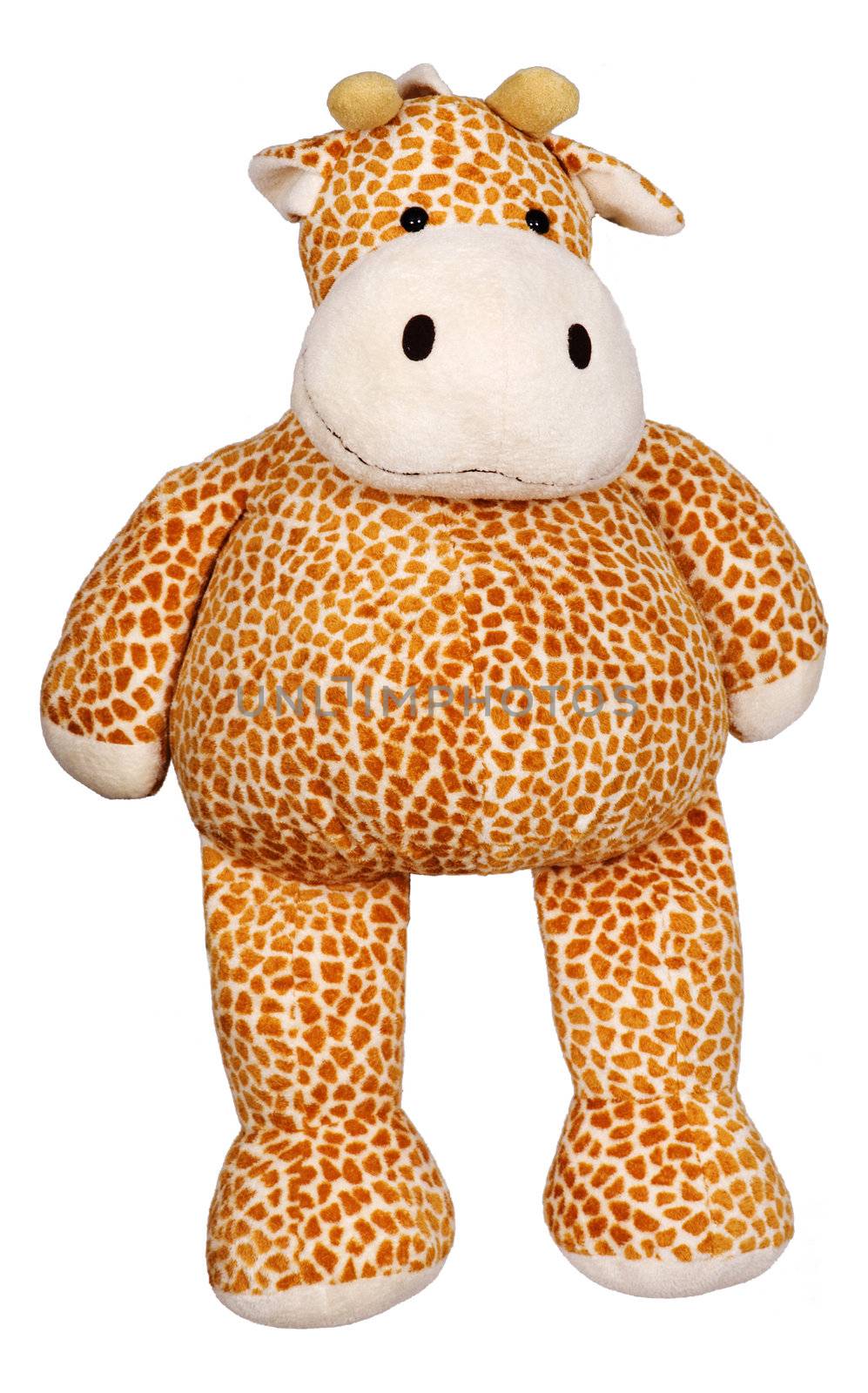 Toy giraffe on a white background