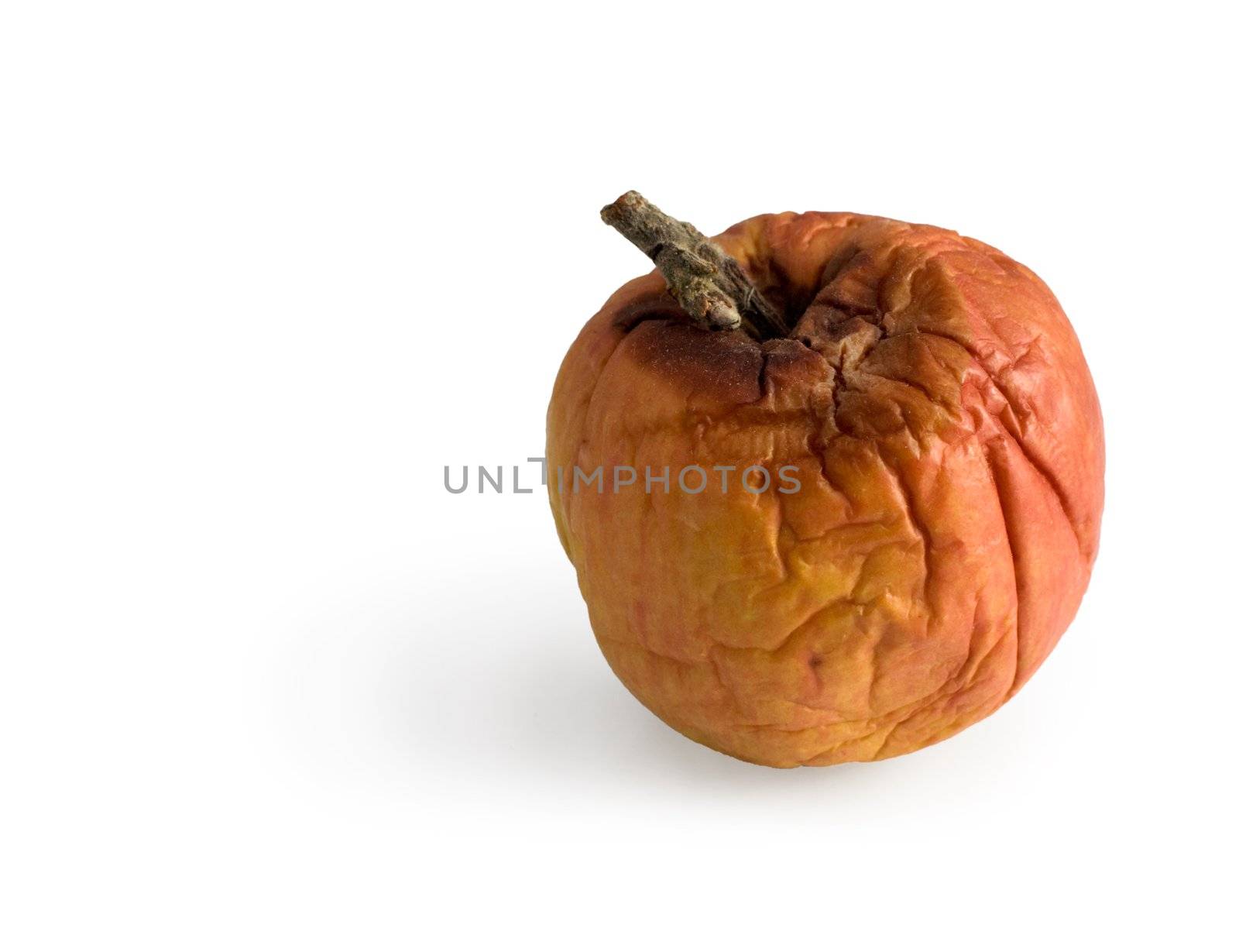 Rotten disgusting apple on a white background
