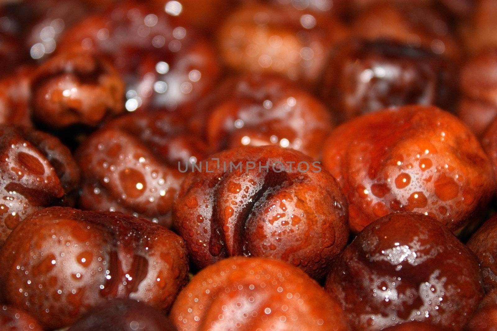 chestnuts, beautiful chestnut trees, background, ripe fruit of the chestnut