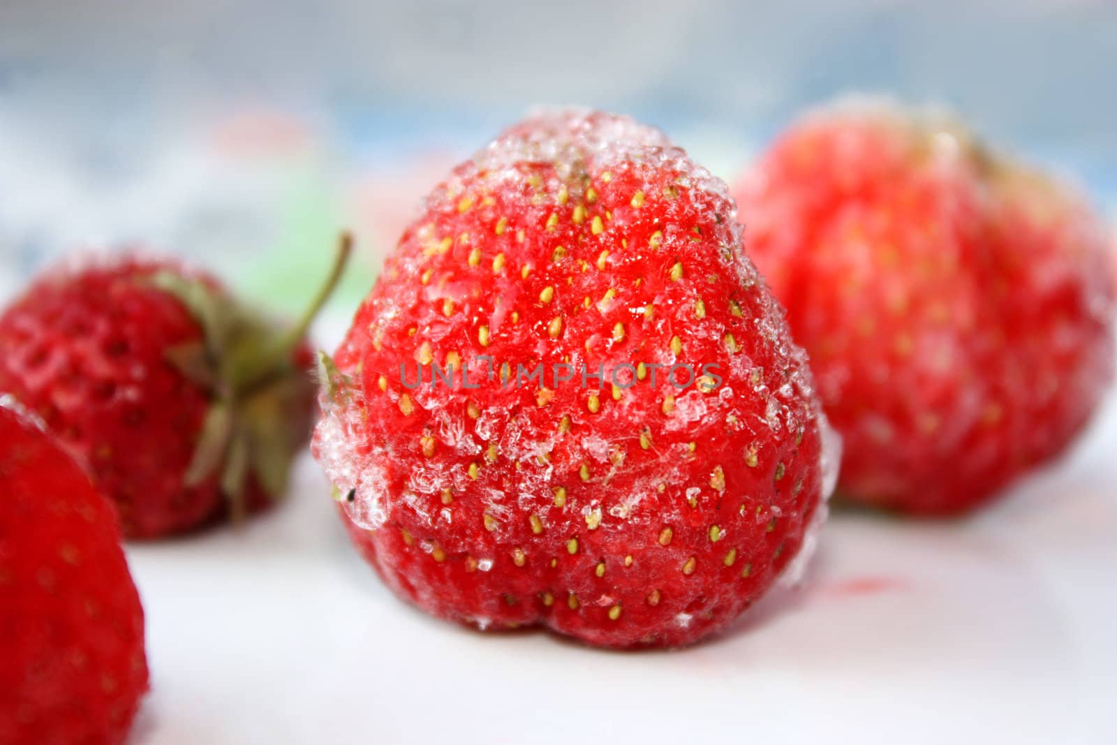 Strawberries by Lyudmila