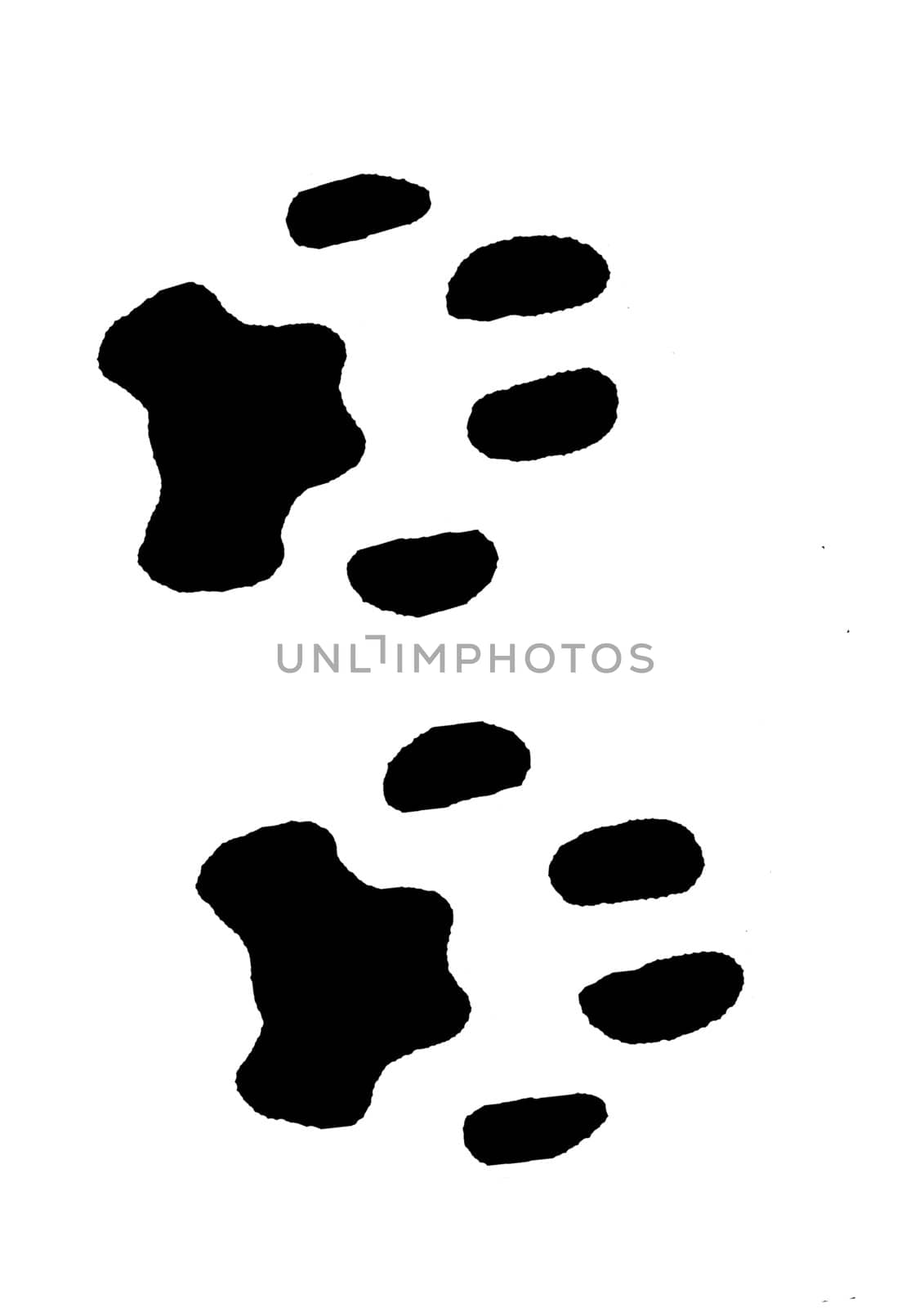 traces of the cats, a black print, the silhouette