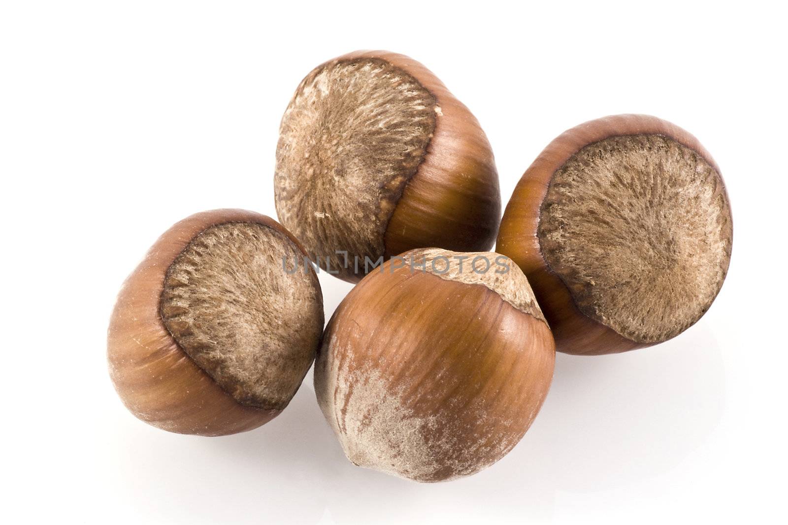 Close up of some hazelnuts on a white background.