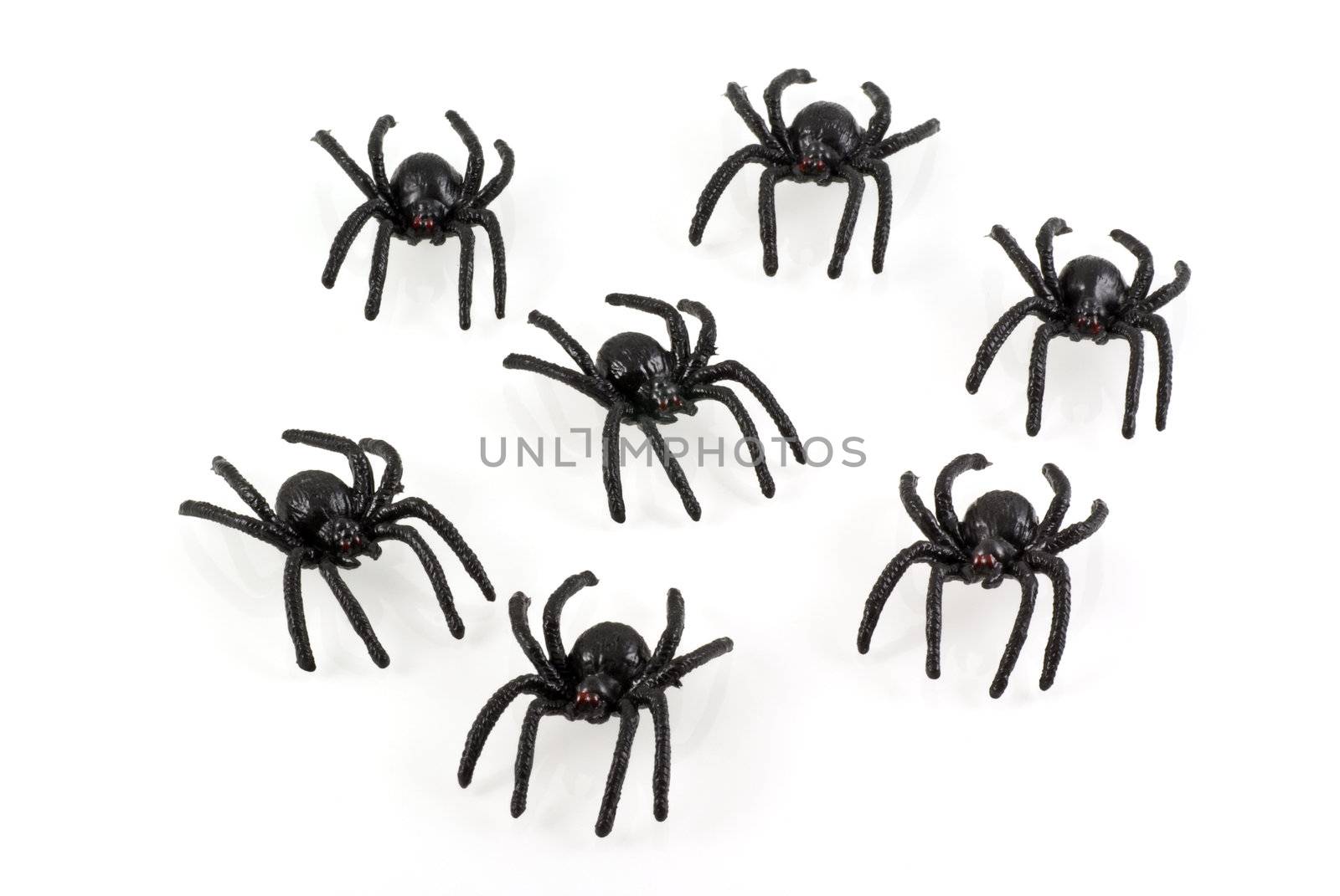 Toy spiders. by SasPartout