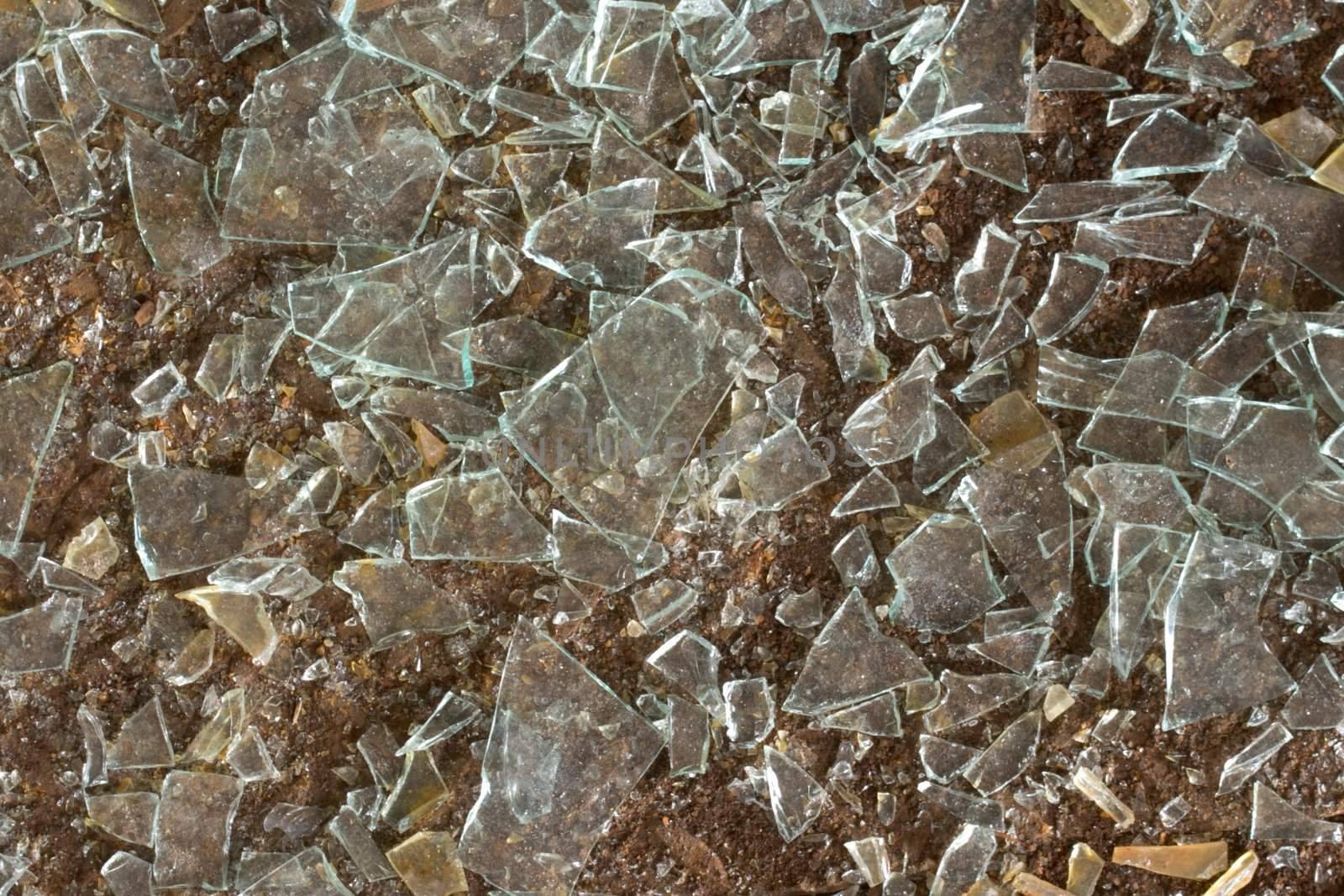 Floor and splinters of glass