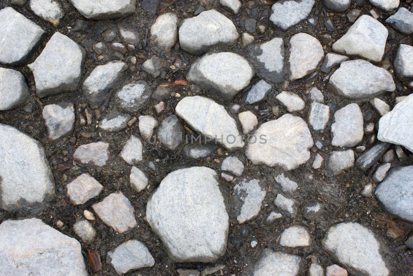 Stony ground on coast of lake