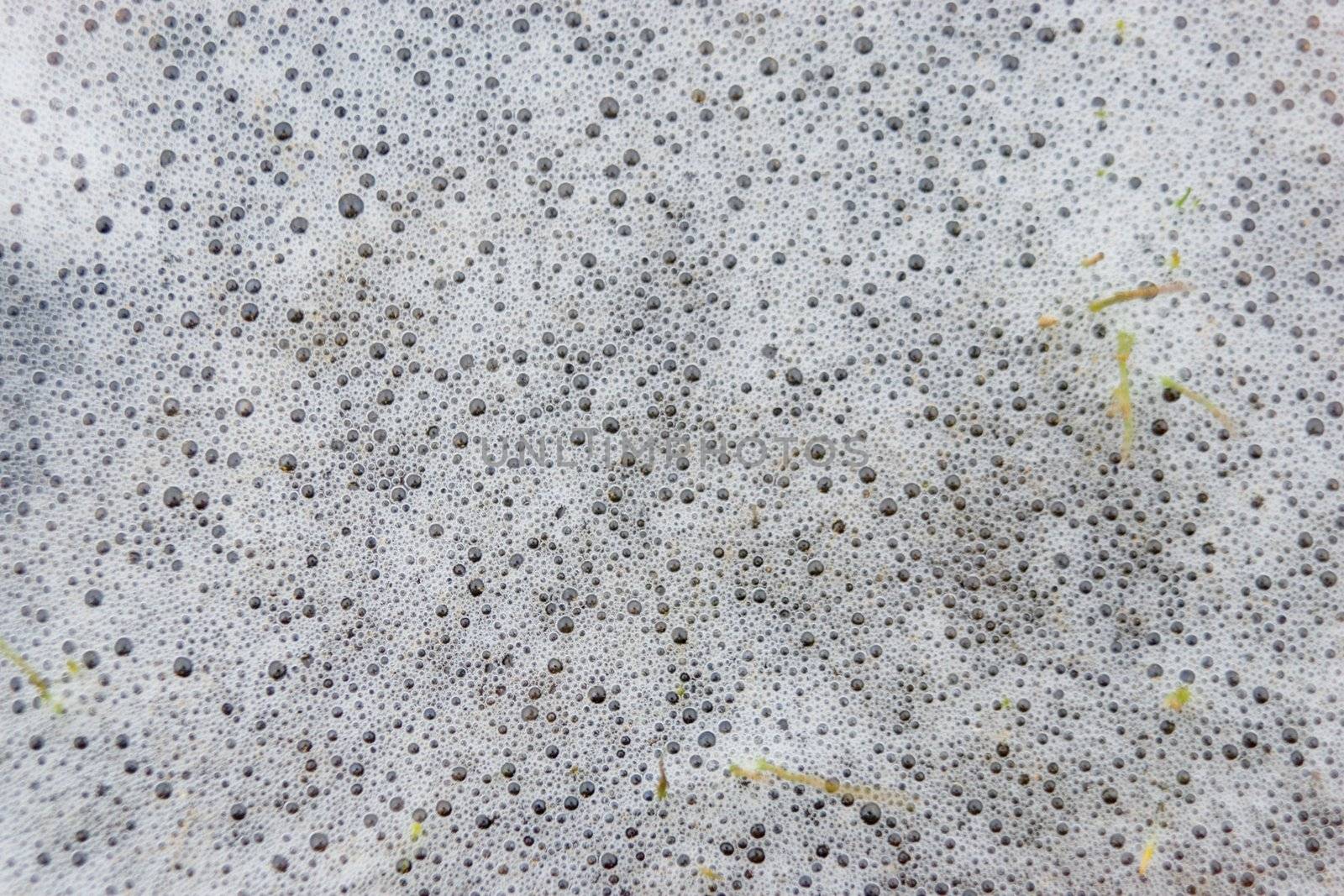 White foam on a surface of water