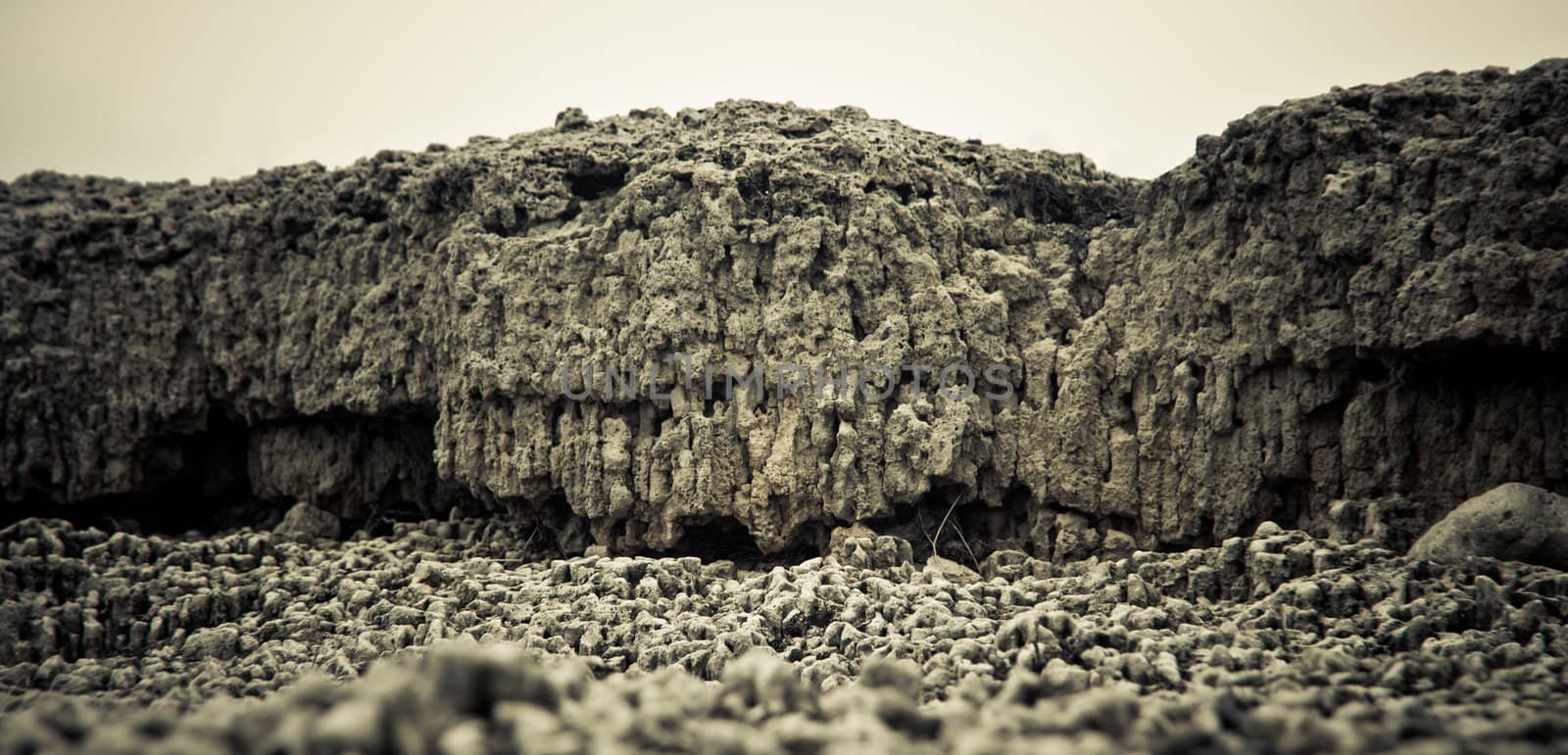 Rock close-up