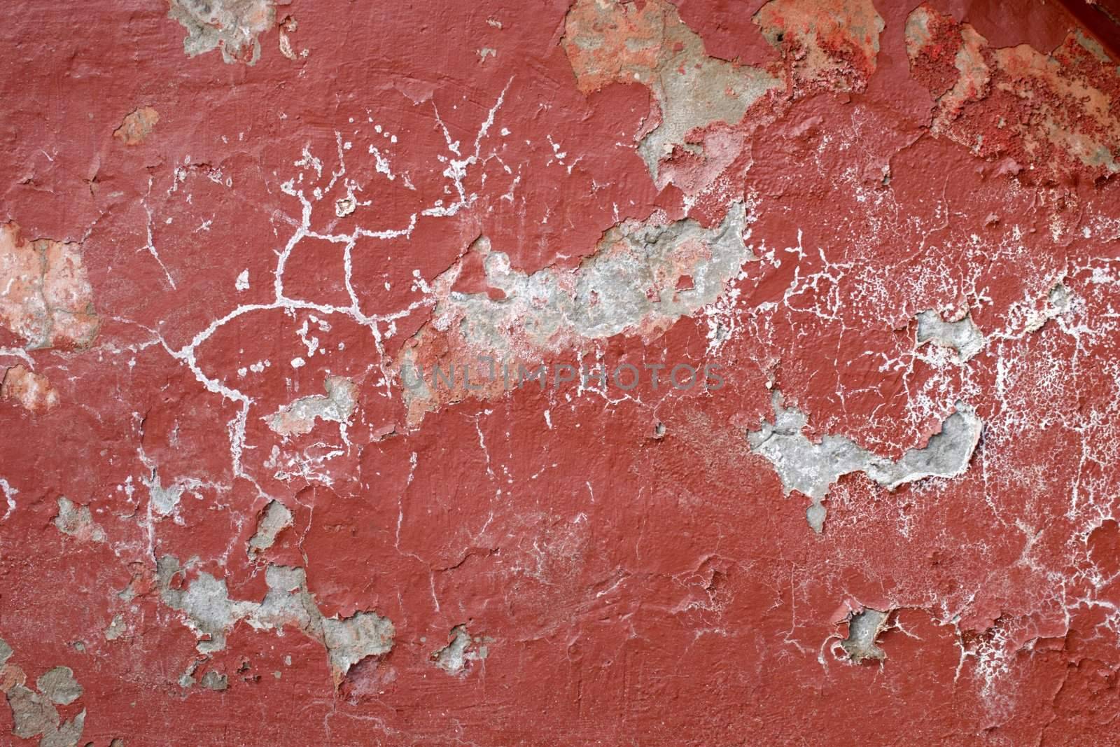 The painted peeled old wall