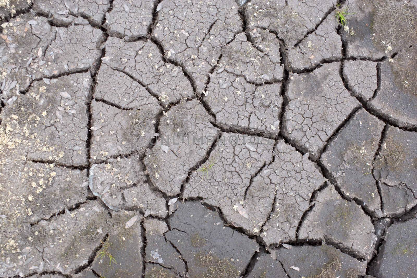 The cracked surface of ground