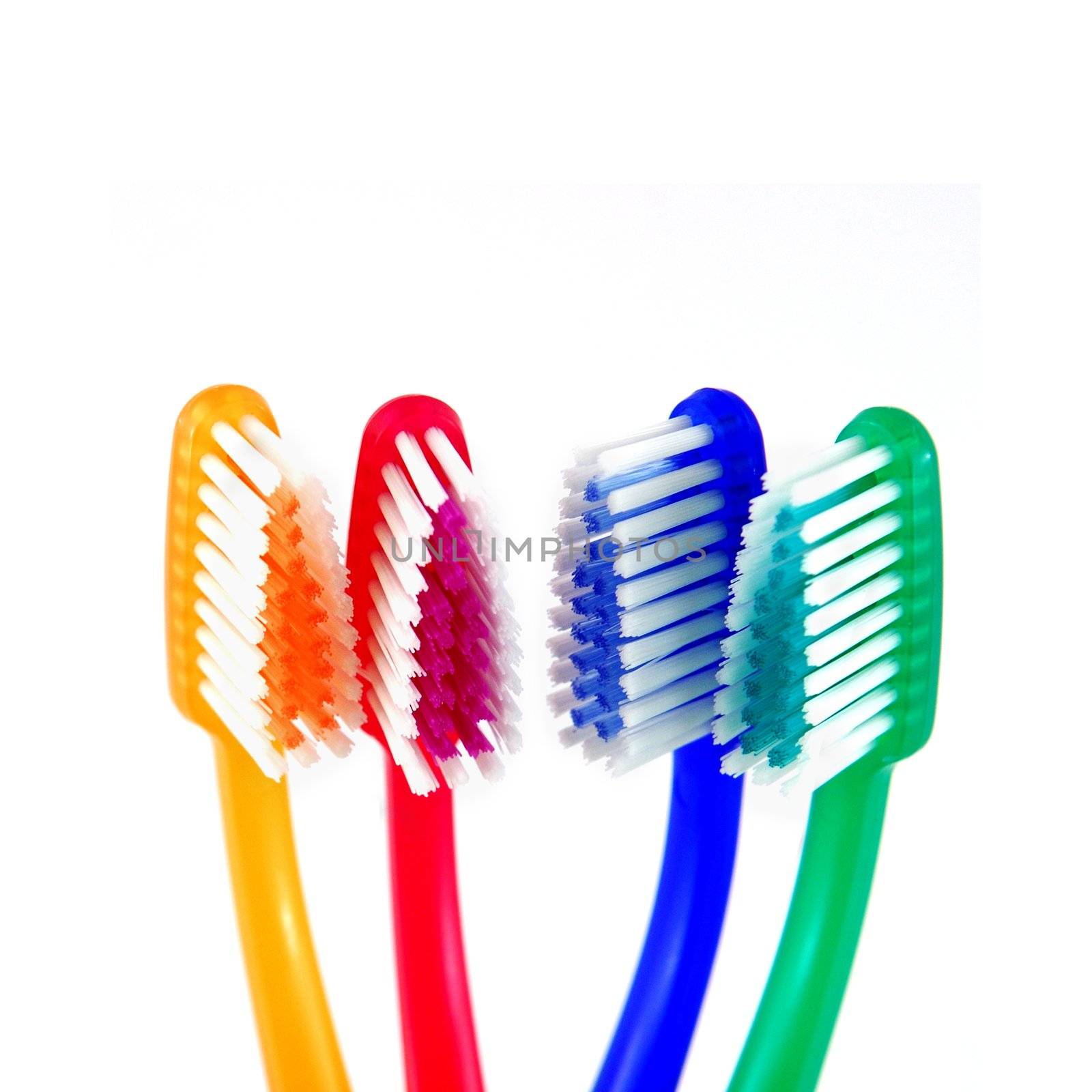 Colorful Toothbrushes Dental Health