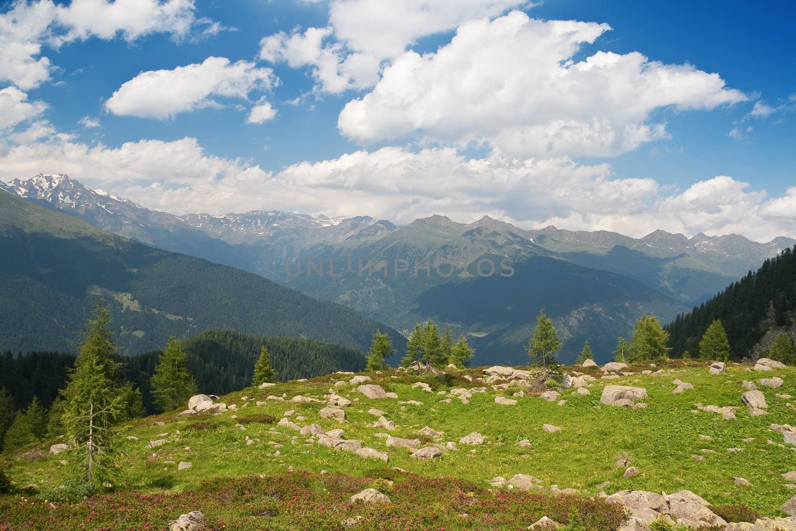 summer panorama of Val di Sole, Trentino Italy