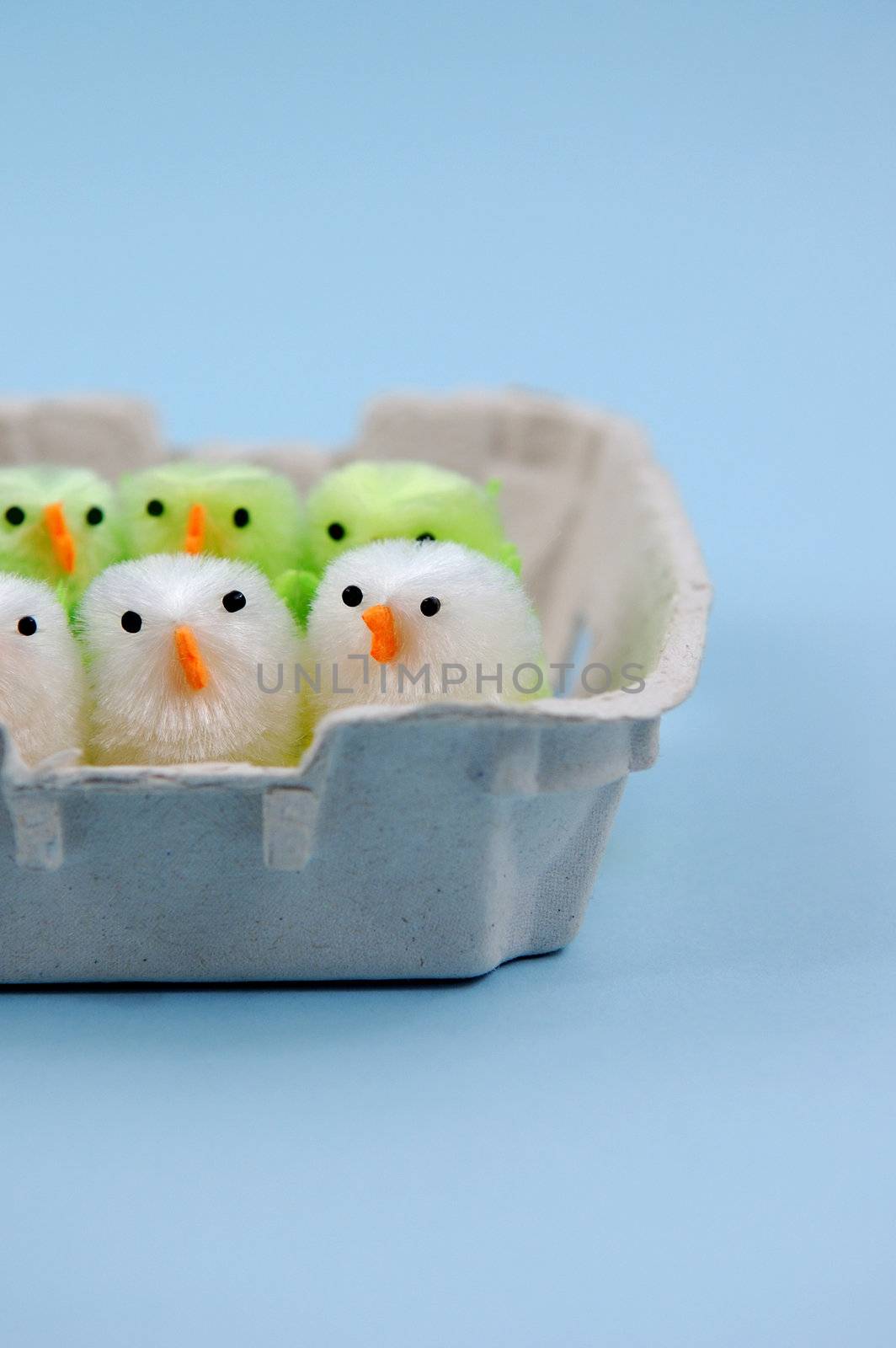Easter chicks in egg carton by maggiemolloy