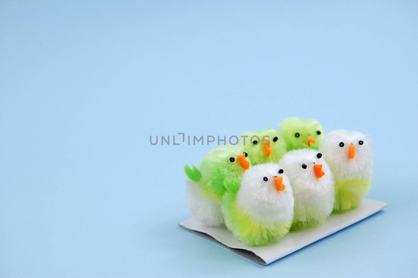 6 easter chicks on piece of card by maggiemolloy