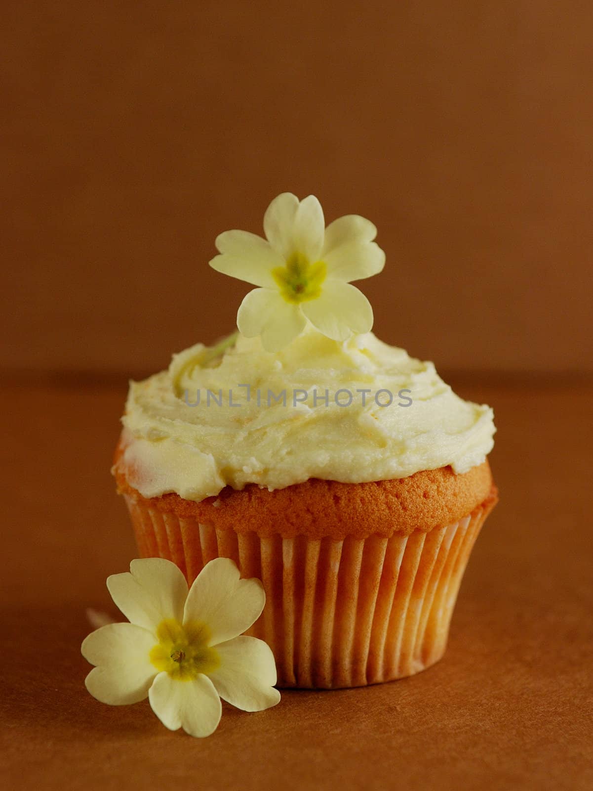 Cupcake with fresh primroses by maggiemolloy